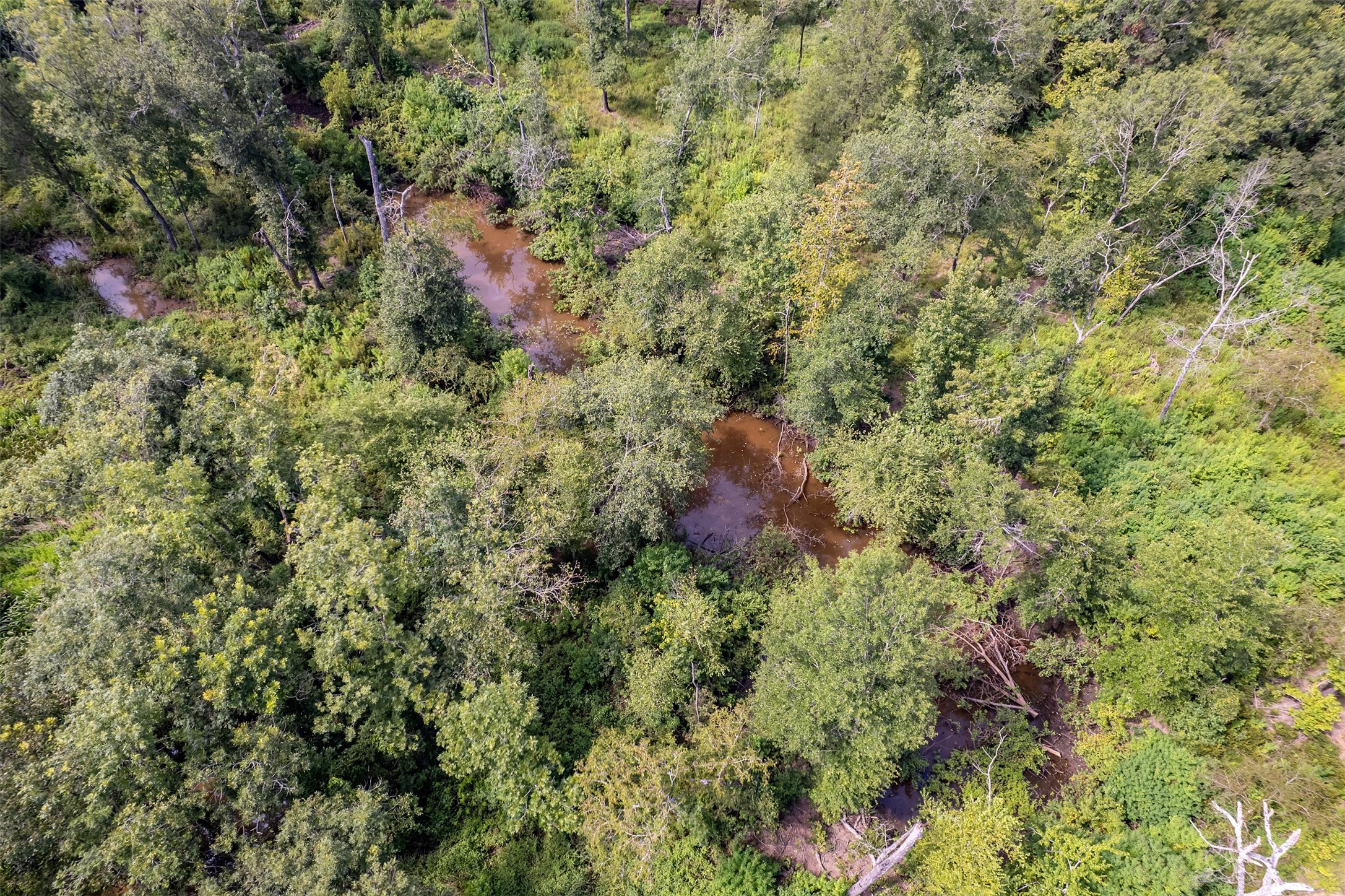 Tbd County Road 2115 Troup TX 75789