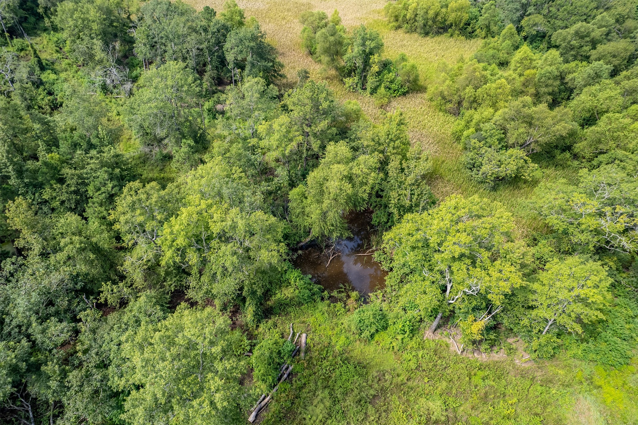 Tbd County Road 2115 Troup TX 75789