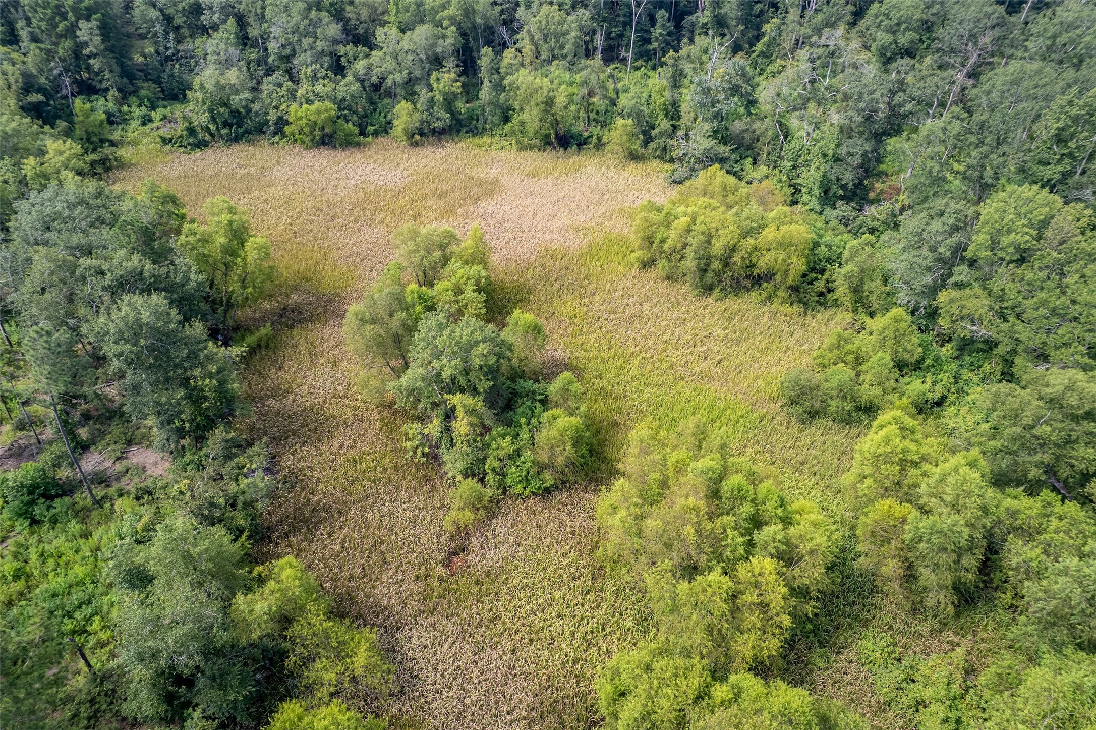 Tbd County Road 2115 Troup TX 75789