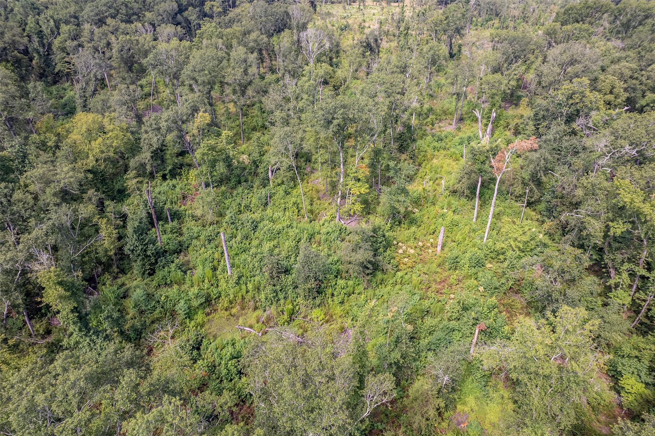 Tbd County Road 2115 Troup TX 75789