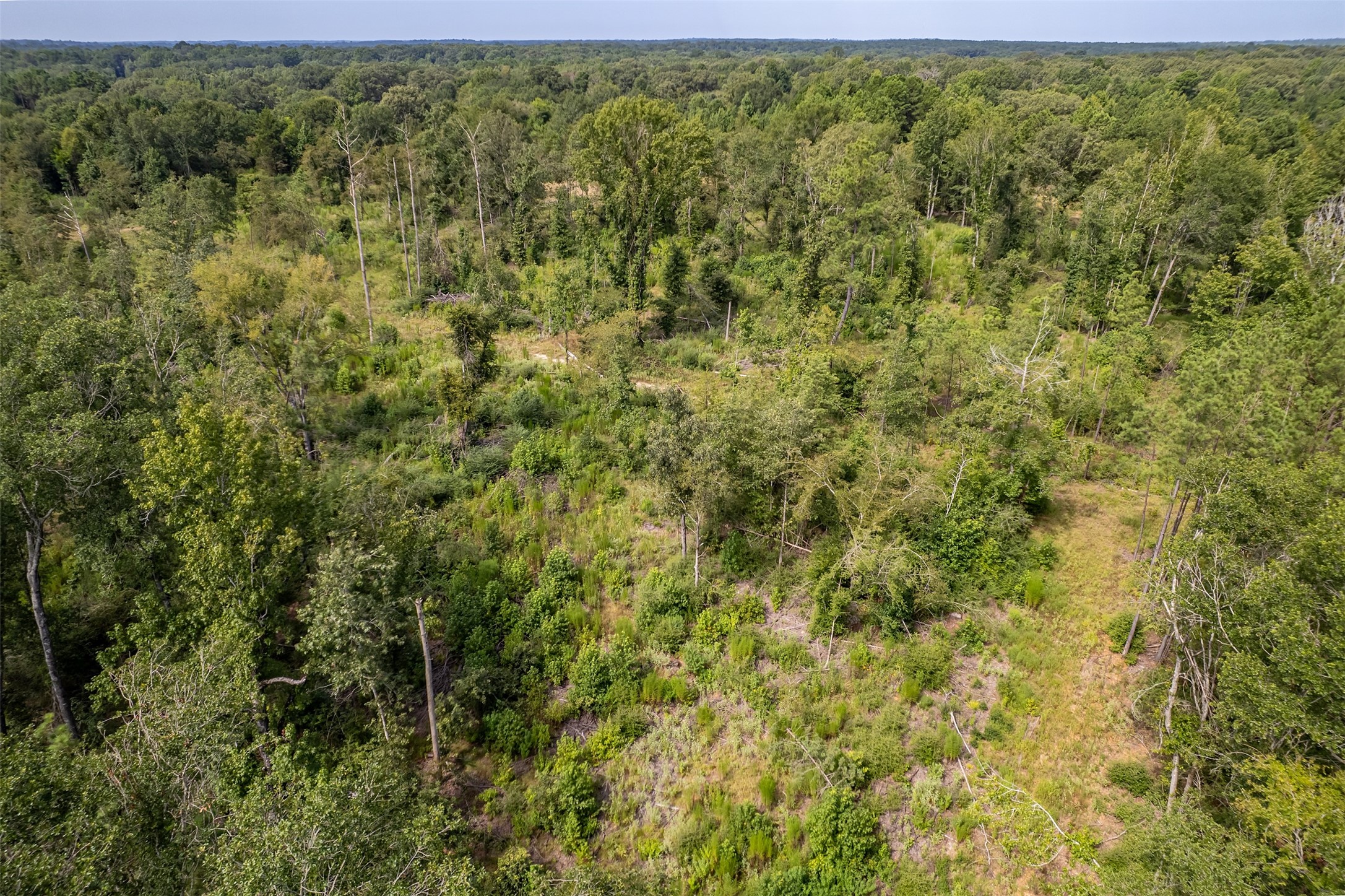 Tbd County Road 2115 Troup TX 75789