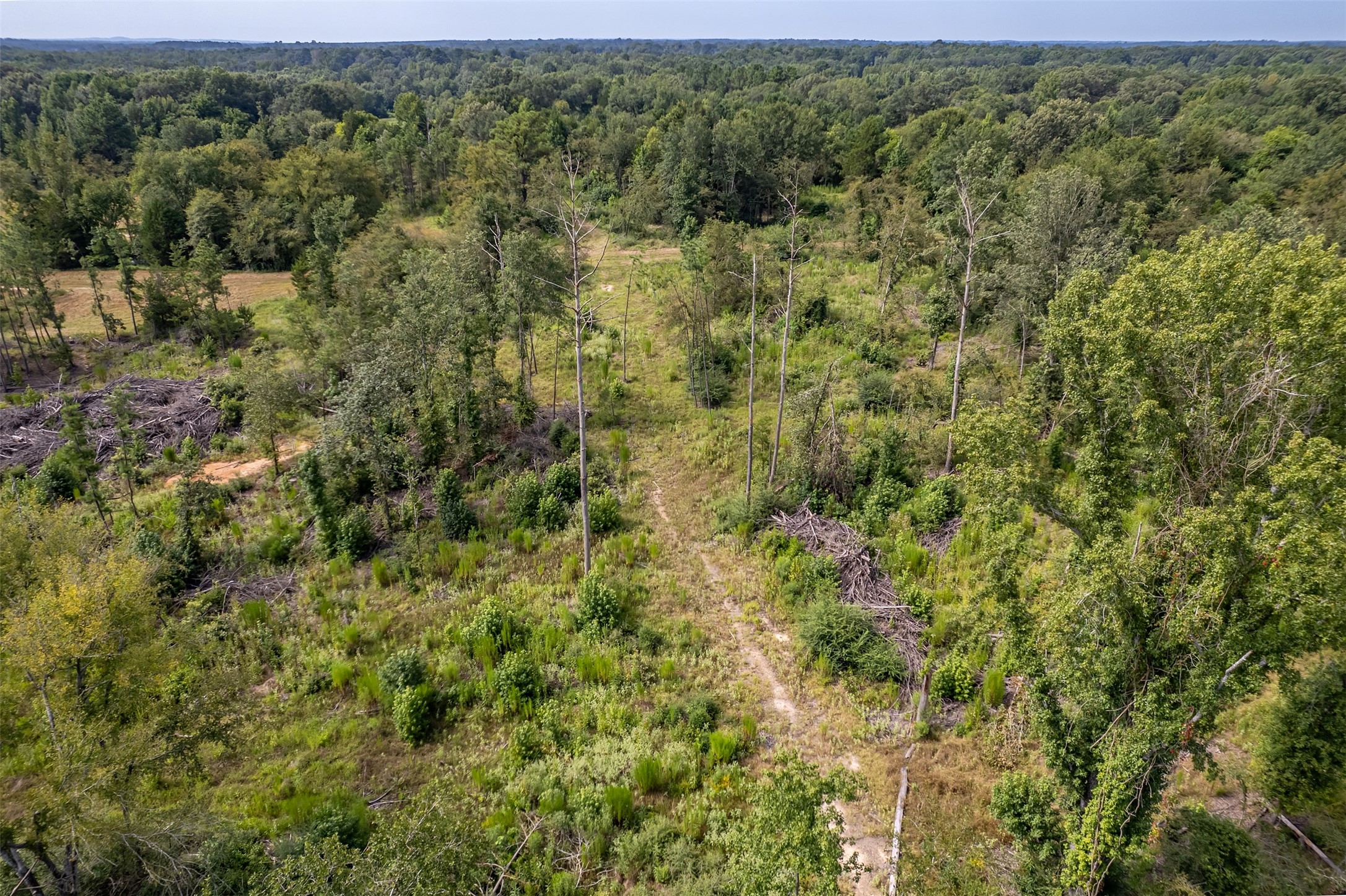 Tbd County Road 2115 Troup TX 75789