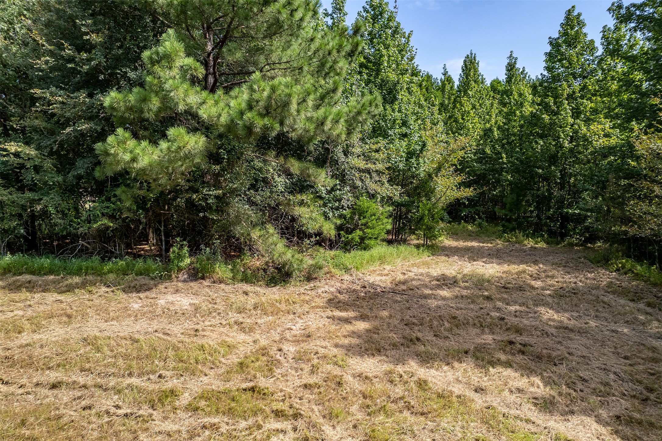 Tbd County Road 2115 Troup TX 75789