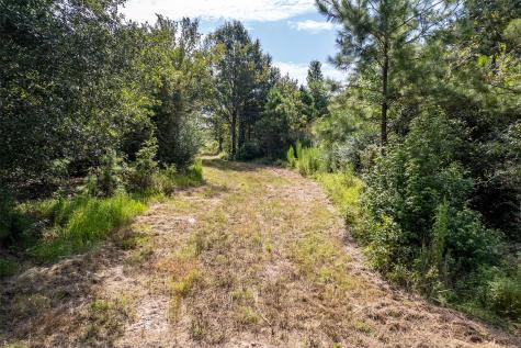 Tbd County Road 2115 Troup TX 75789