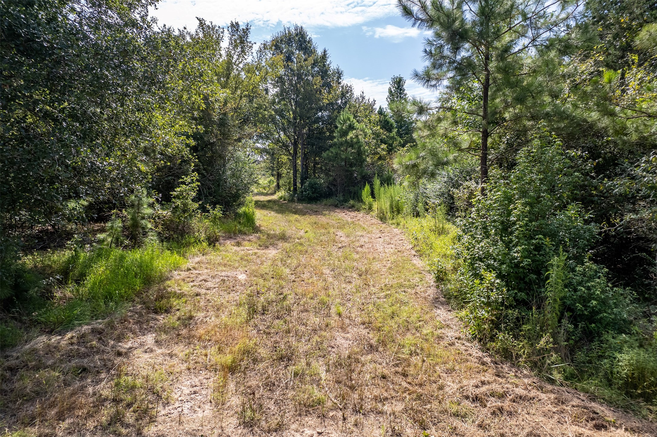 Tbd County Road 2115 Troup TX 75789