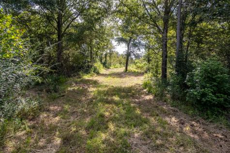 Tbd County Road 2115 Troup TX 75789