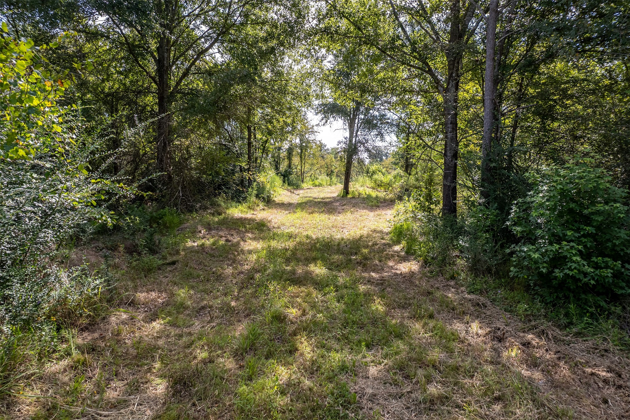 Tbd County Road 2115 Troup TX 75789