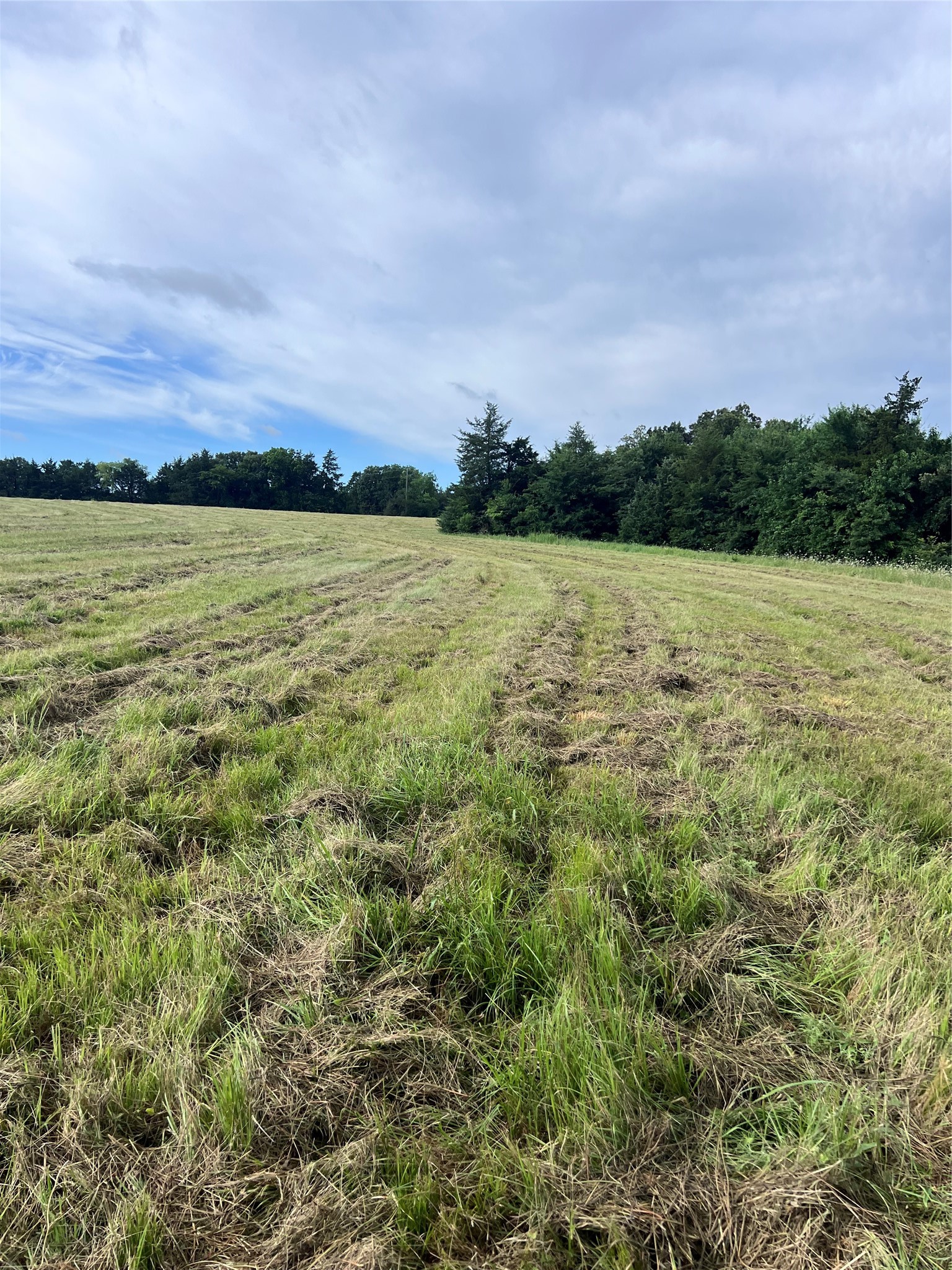 Tbd County Road 4574 Sulphur Springs TX 75482