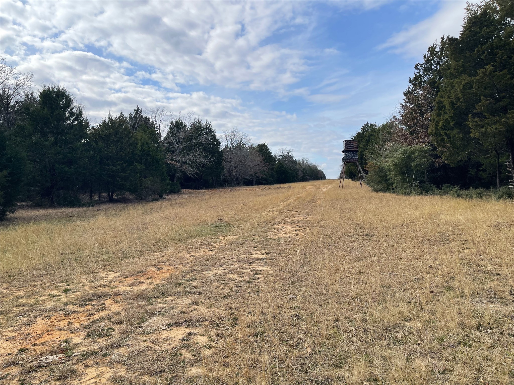 210 Fcr 521 Fairfield TX 75840