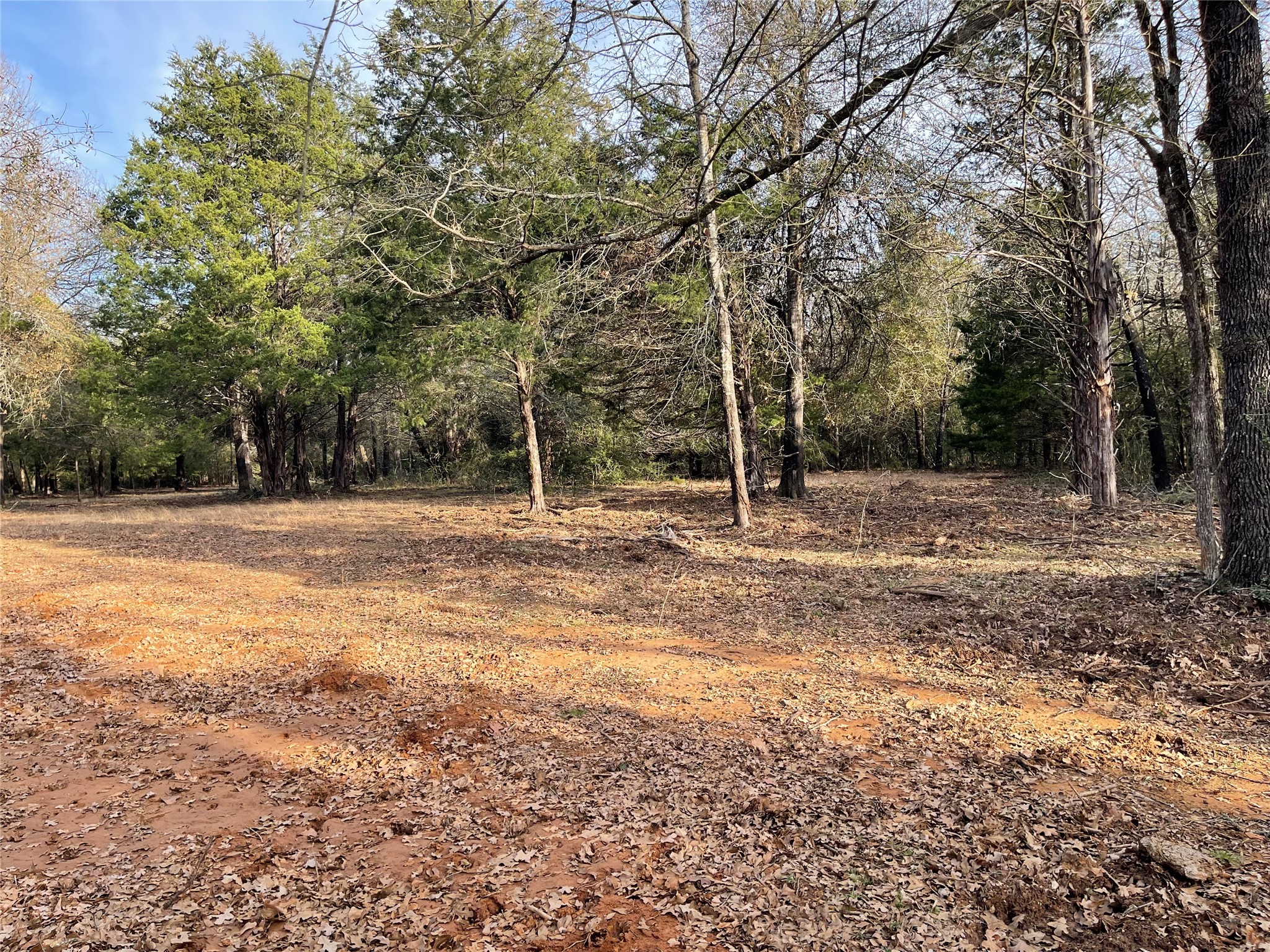 210 Fcr 521 Fairfield TX 75840