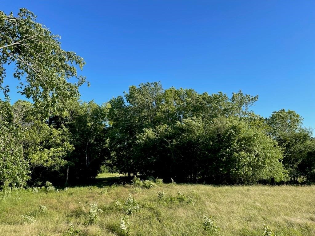 Tbd County Road 3561 Sulphur Bluff TX 75481