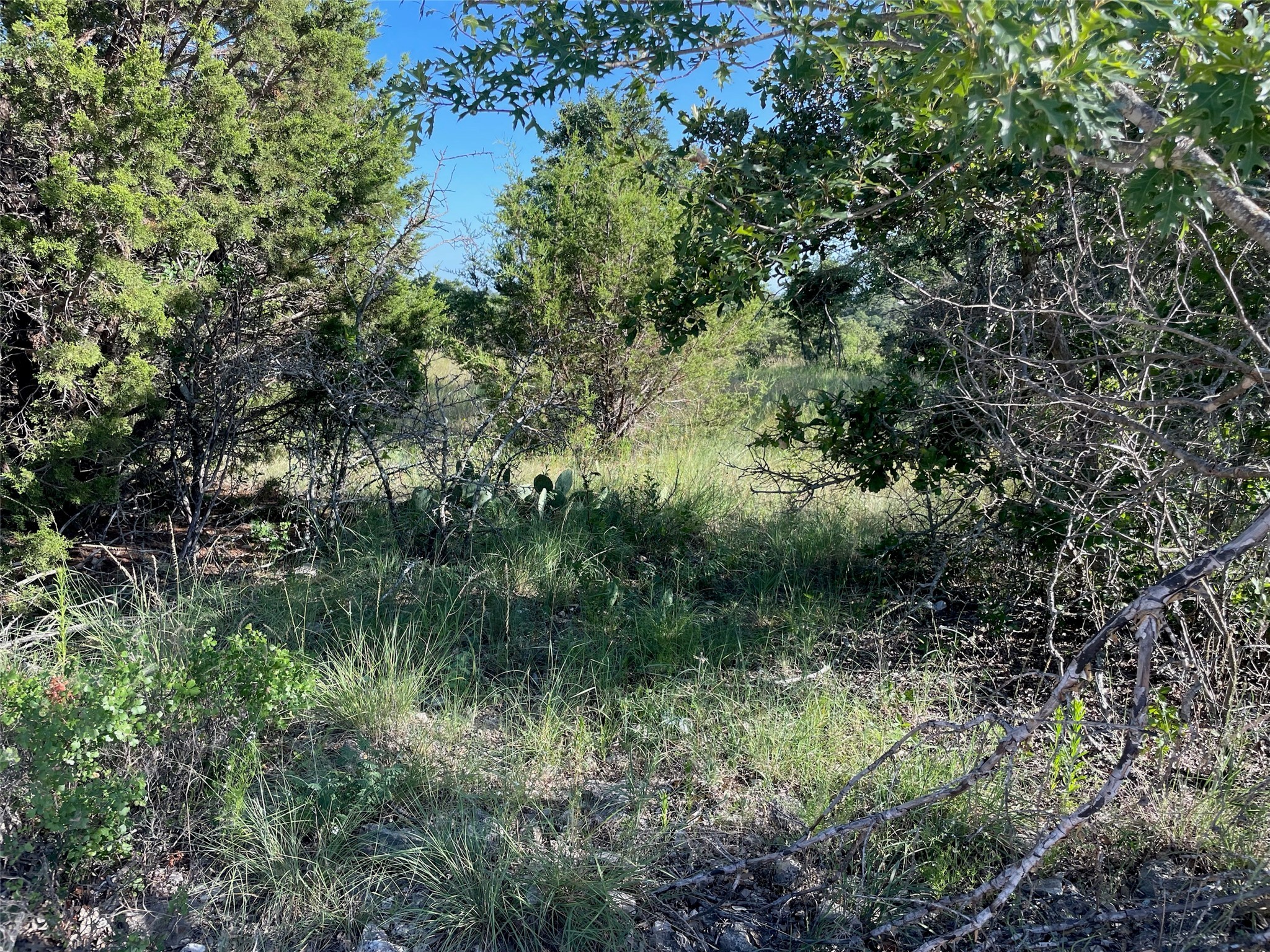 Lot 22 Oakcrest Drive Ranger TX 76470
