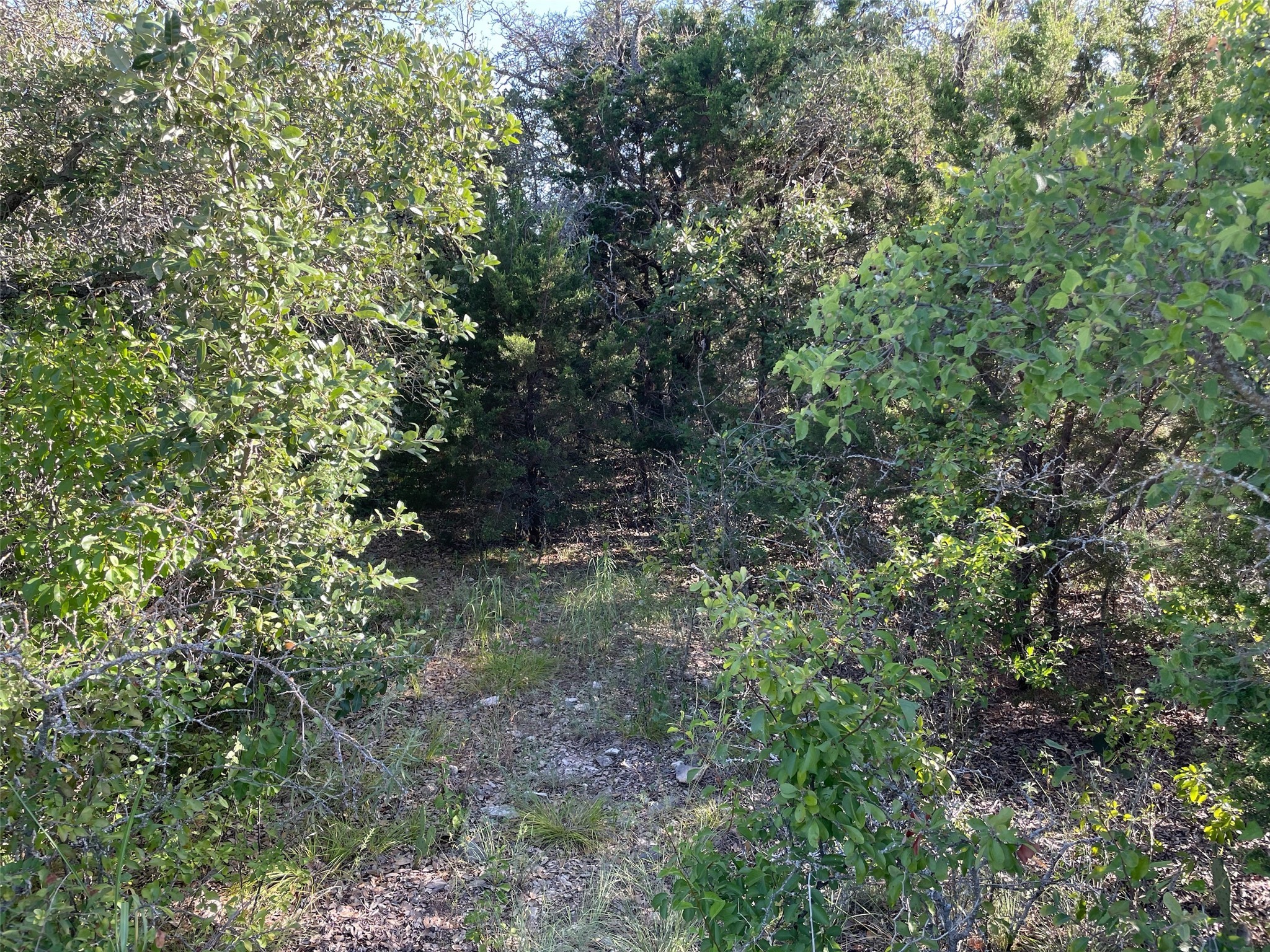 Lot 22 Oakcrest Drive Ranger TX 76470