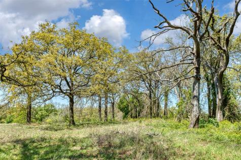 247 Private Road 14503 Covington TX 76636