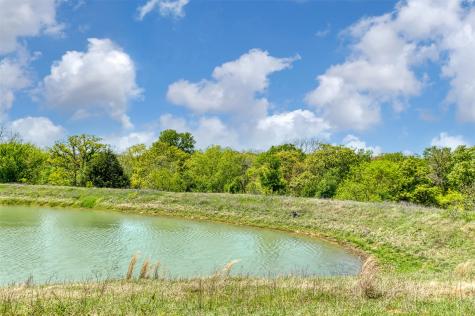 247 Private Road 14503 Covington TX 76636