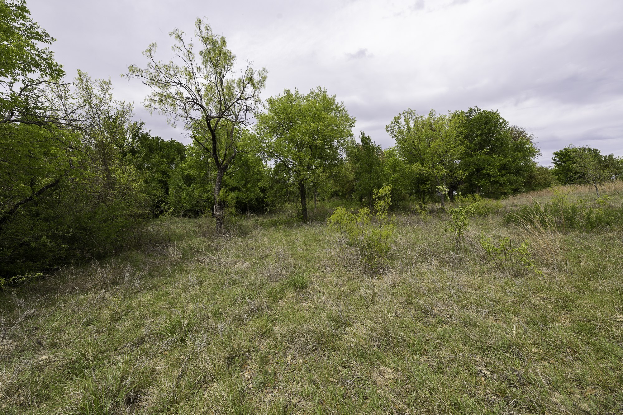 000 Mason Court Dublin TX 76446