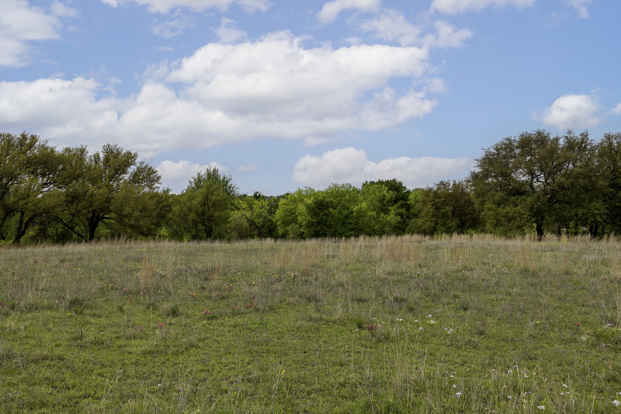 000 Mason Court Dublin TX 76446