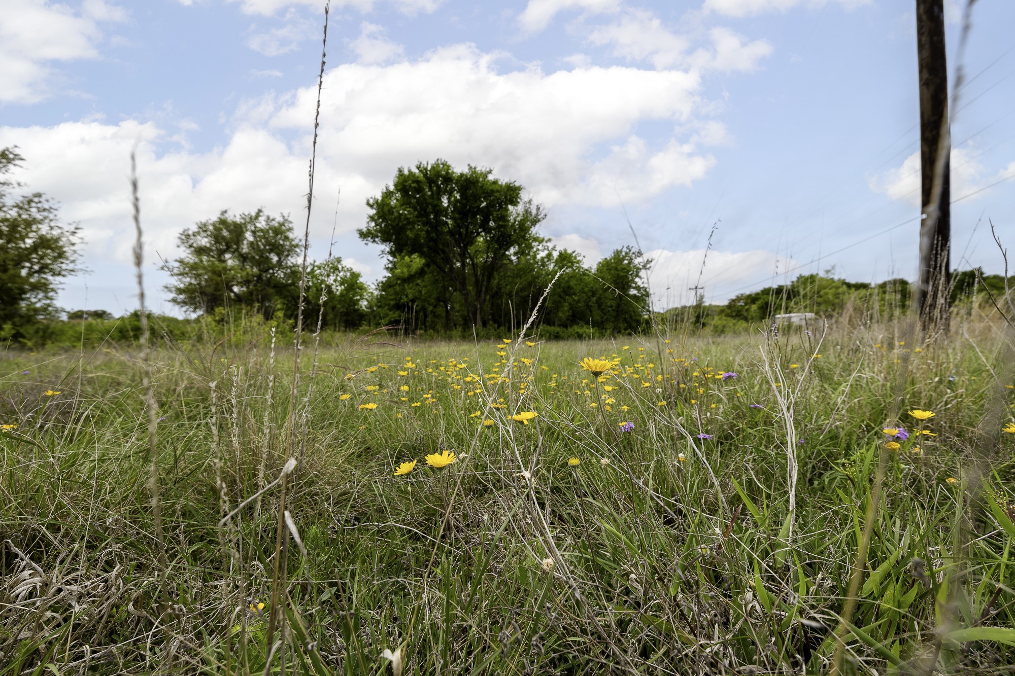 000 Mason Court Dublin TX 76446