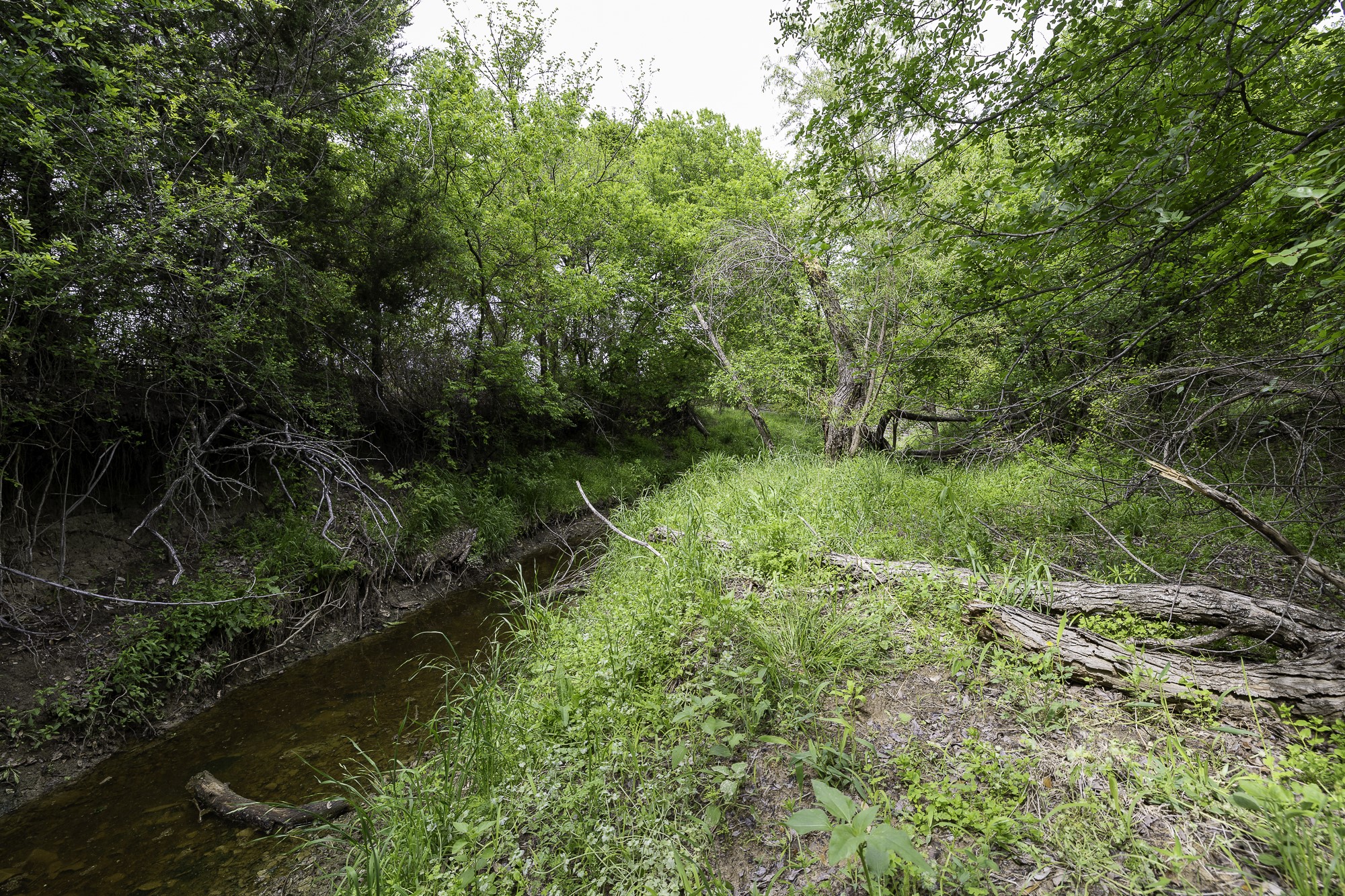 000 Mason Court Dublin TX 76446