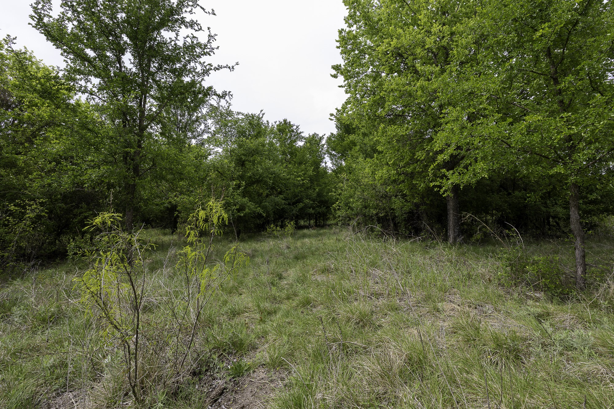 000 Mason Court Dublin TX 76446