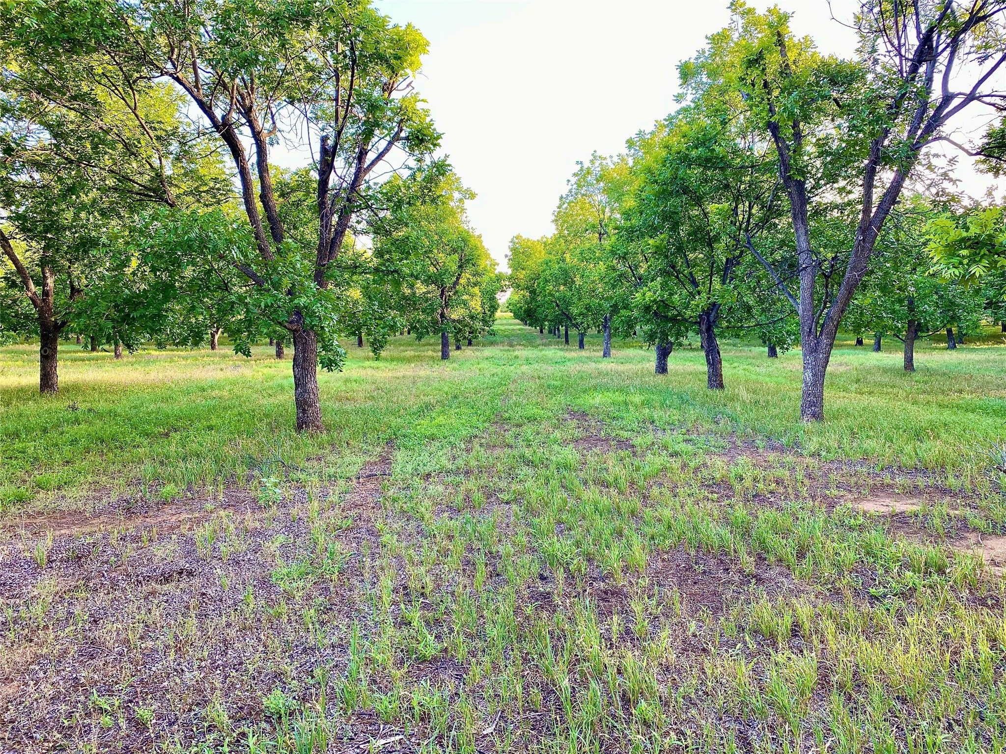 751 County Road 424 Comanche TX 76442