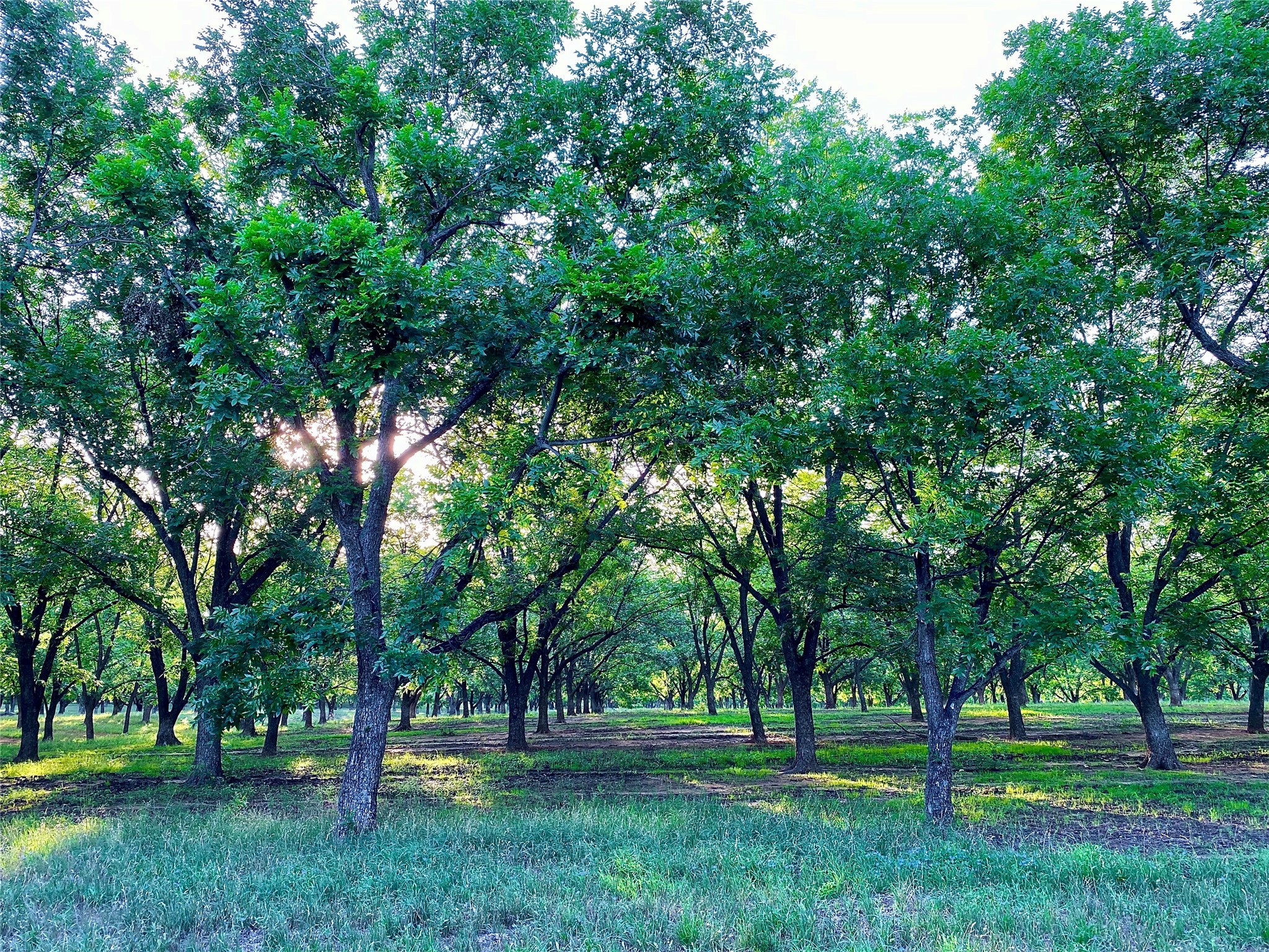 751 County Road 424 Comanche TX 76442