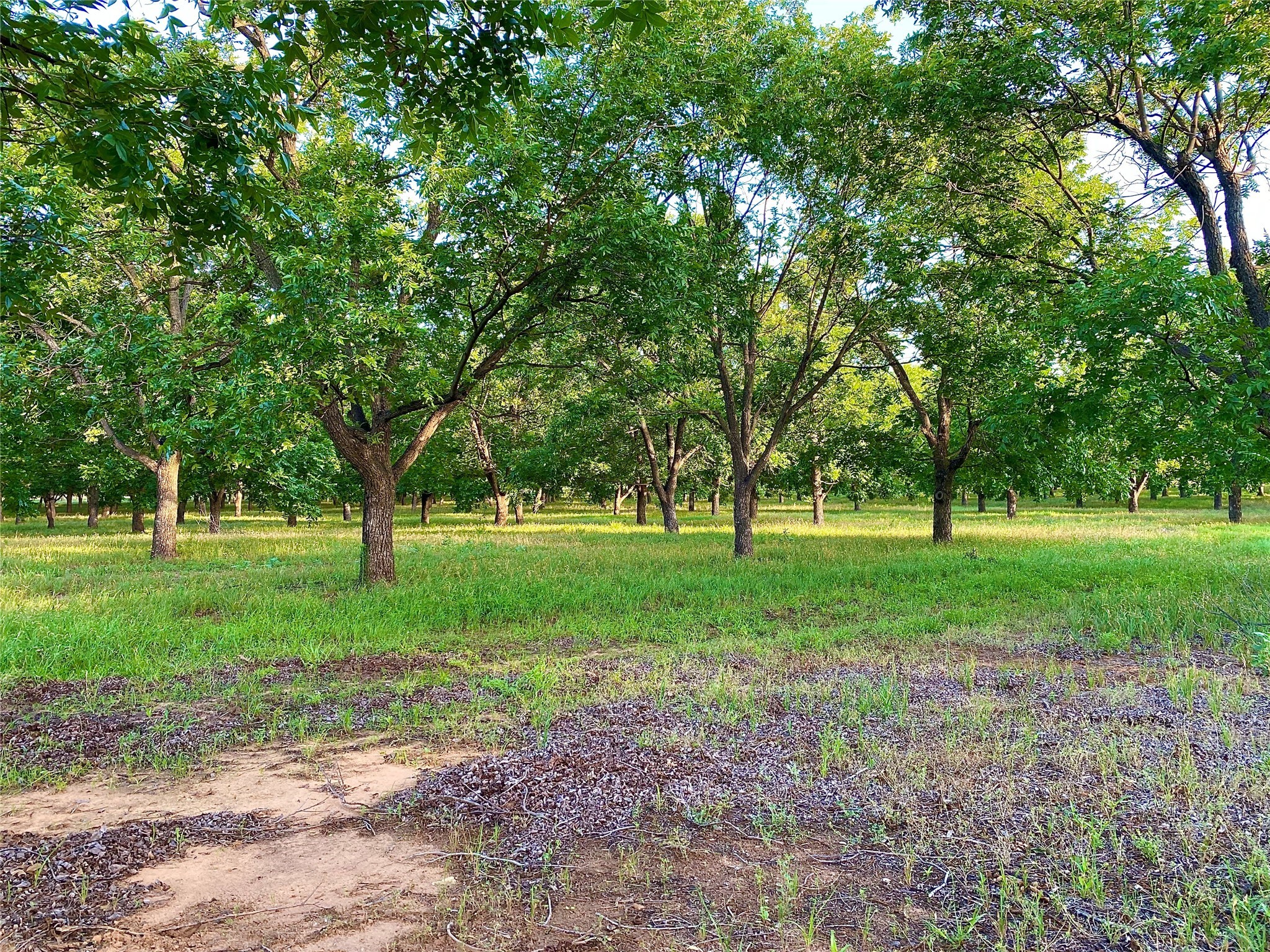 751 County Road 424 Comanche TX 76442
