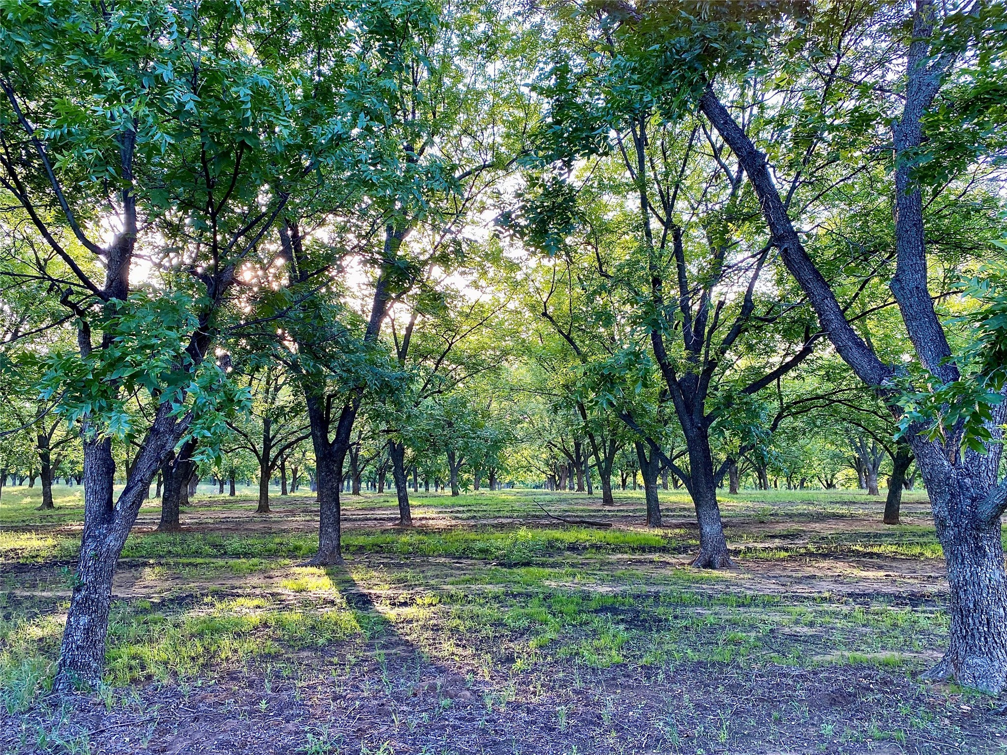 751 County Road 424 Comanche TX 76442