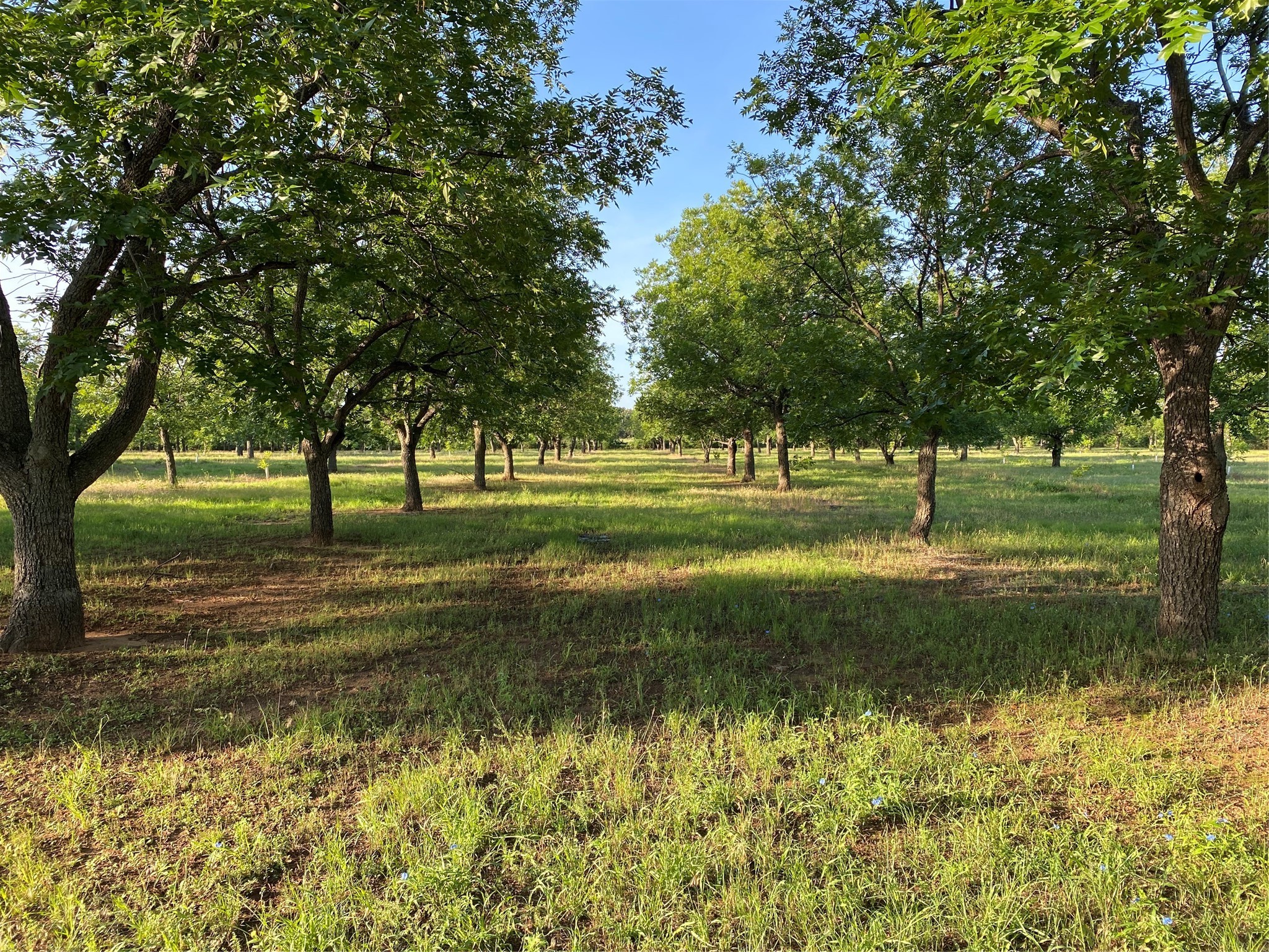751 County Road 424 Comanche TX 76442