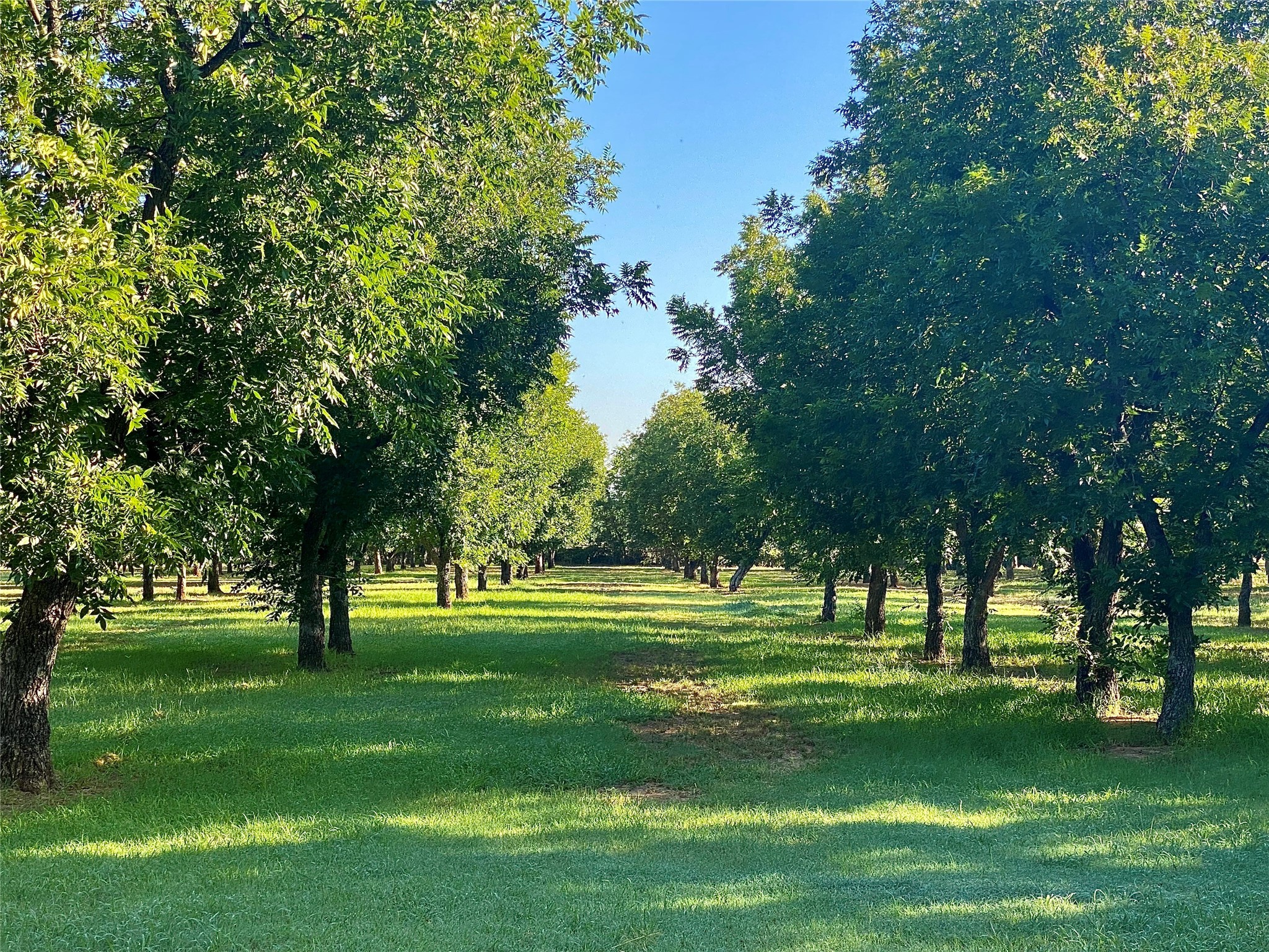 751 County Road 424 Comanche TX 76442