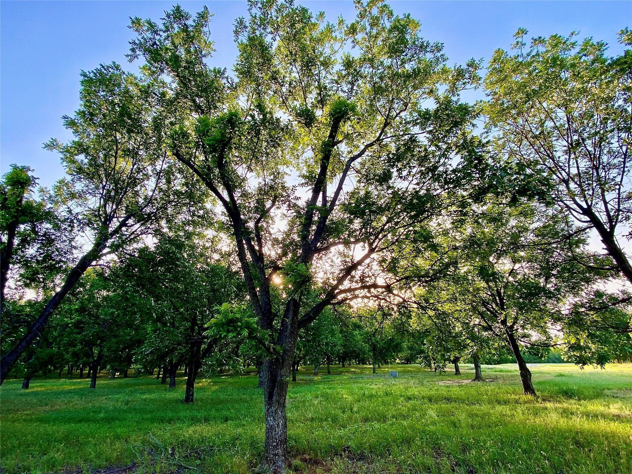 751 County Road 424 Comanche TX 76442