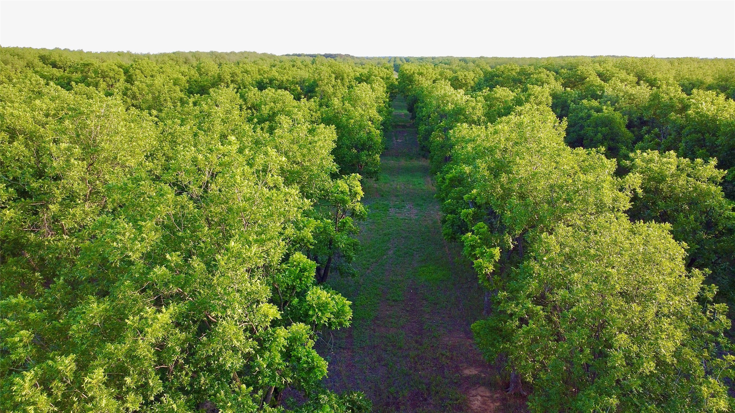 751 County Road 424 Comanche TX 76442