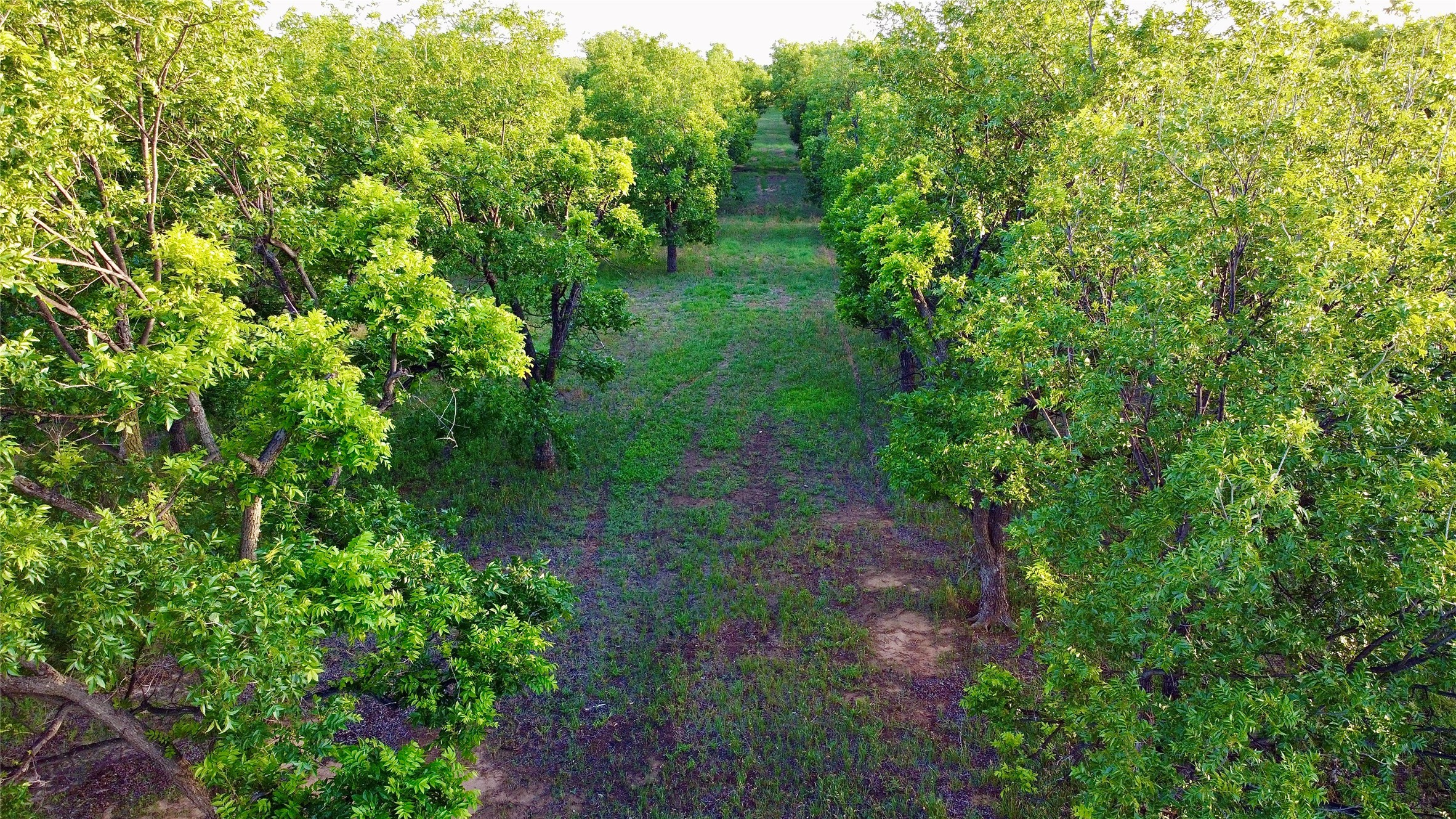 751 County Road 424 Comanche TX 76442