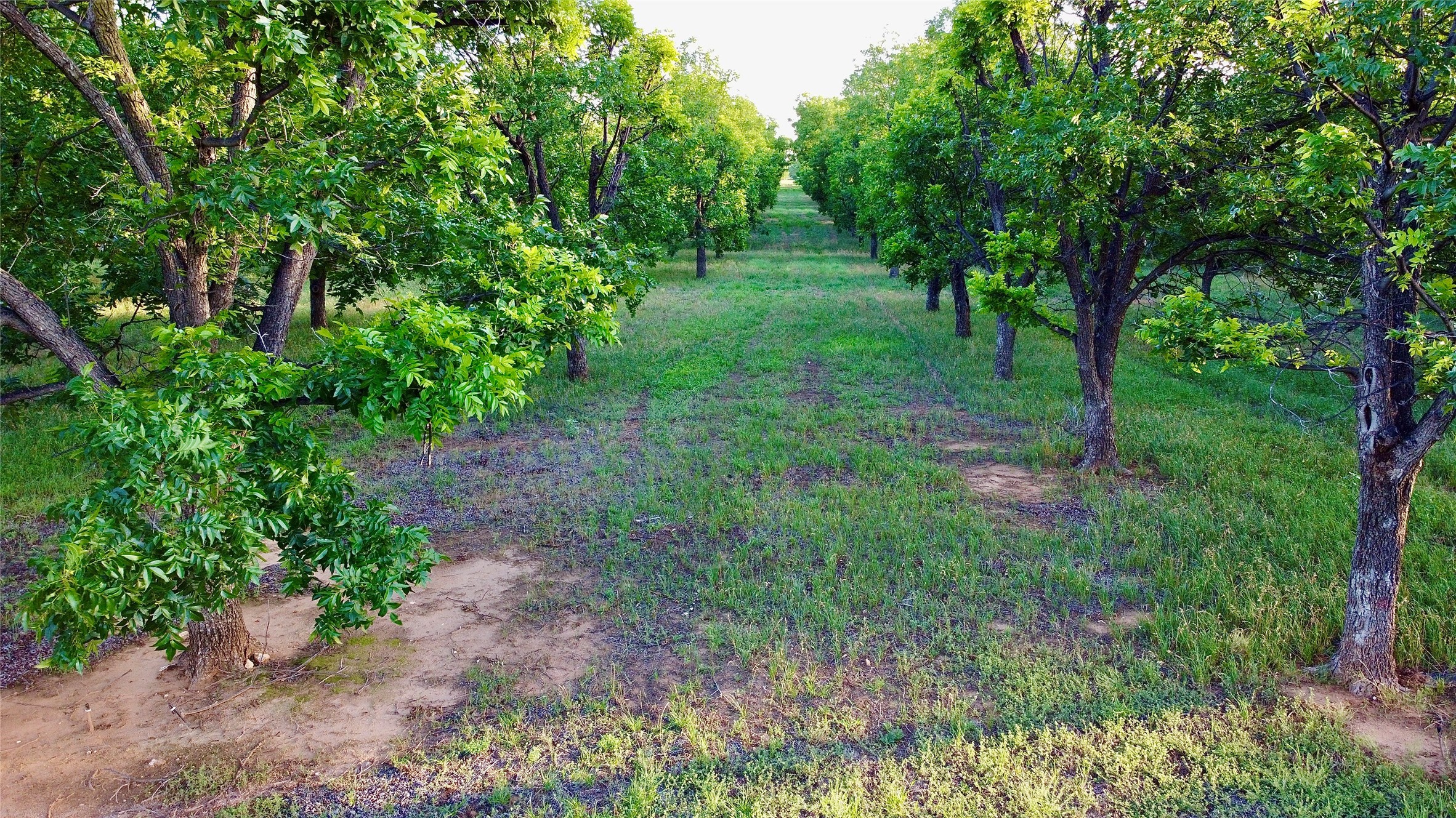 751 County Road 424 Comanche TX 76442