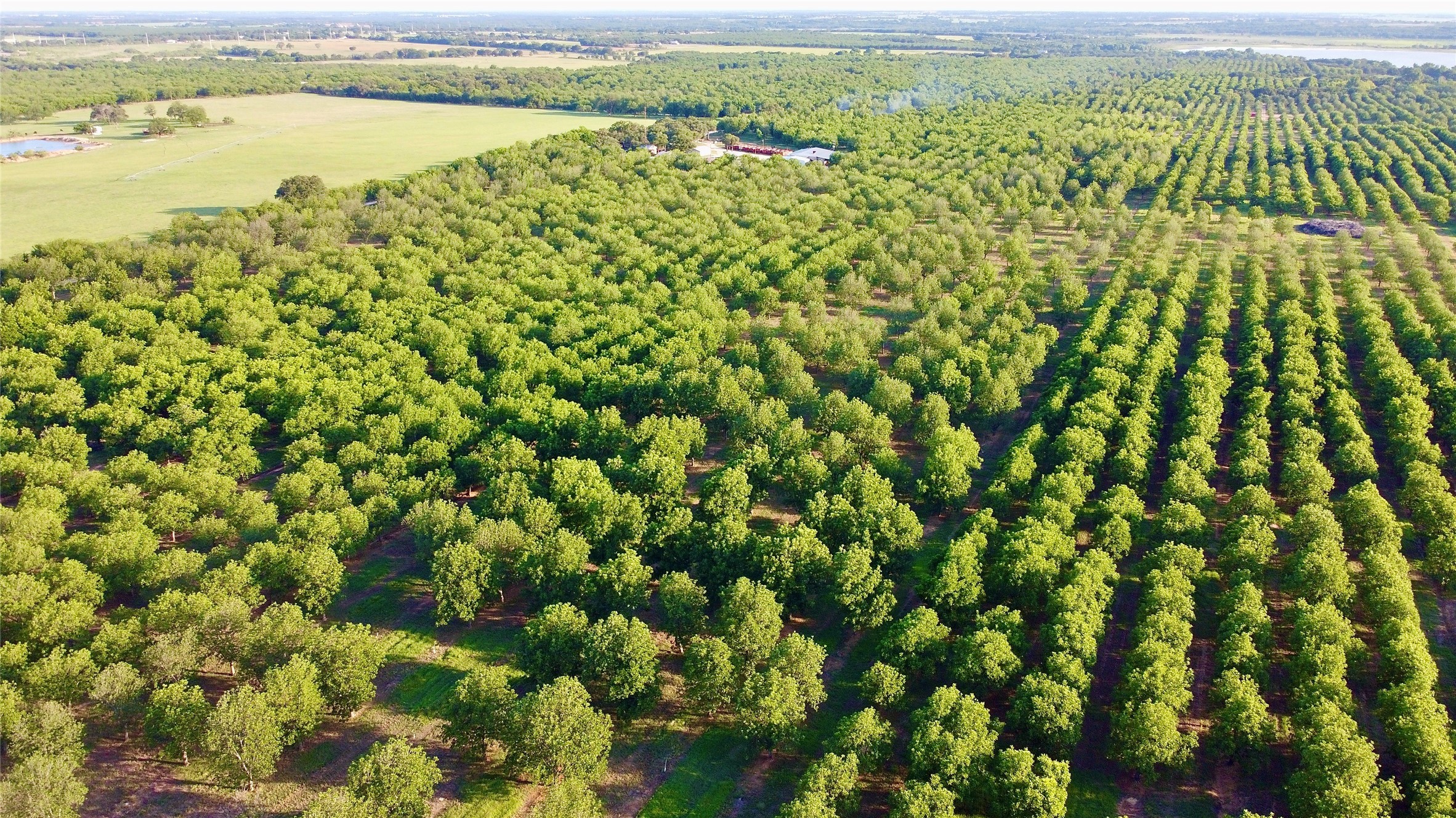 751 County Road 424 Comanche TX 76442