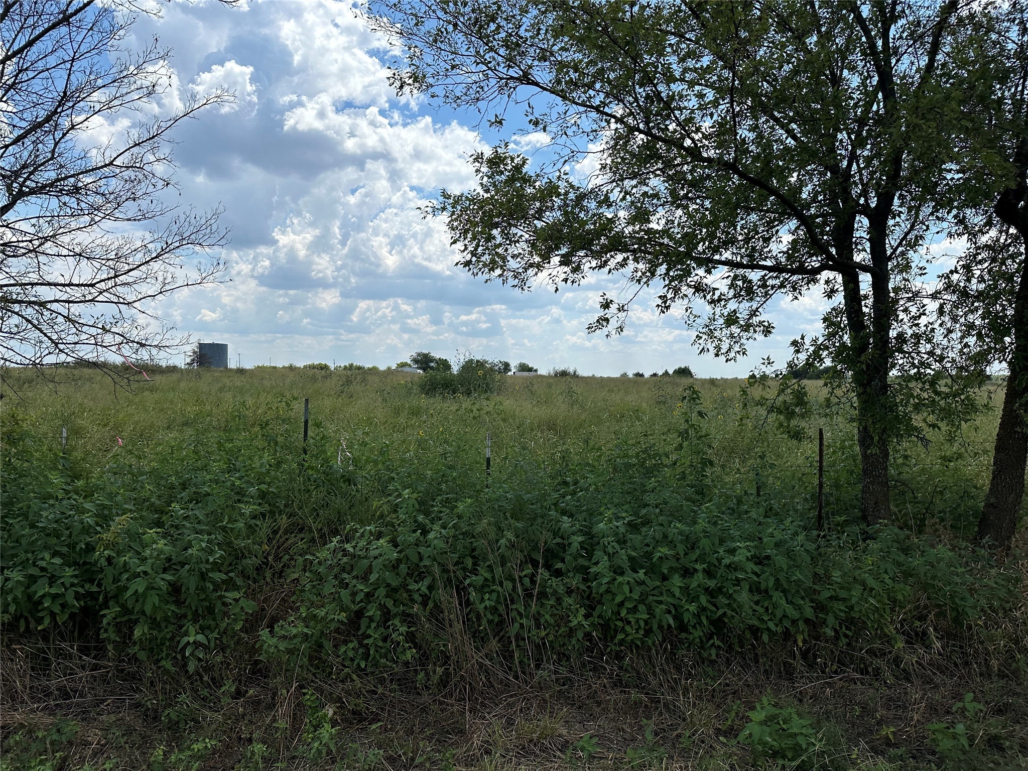 Lot 4 Rutledge Road Whitewright TX 75491