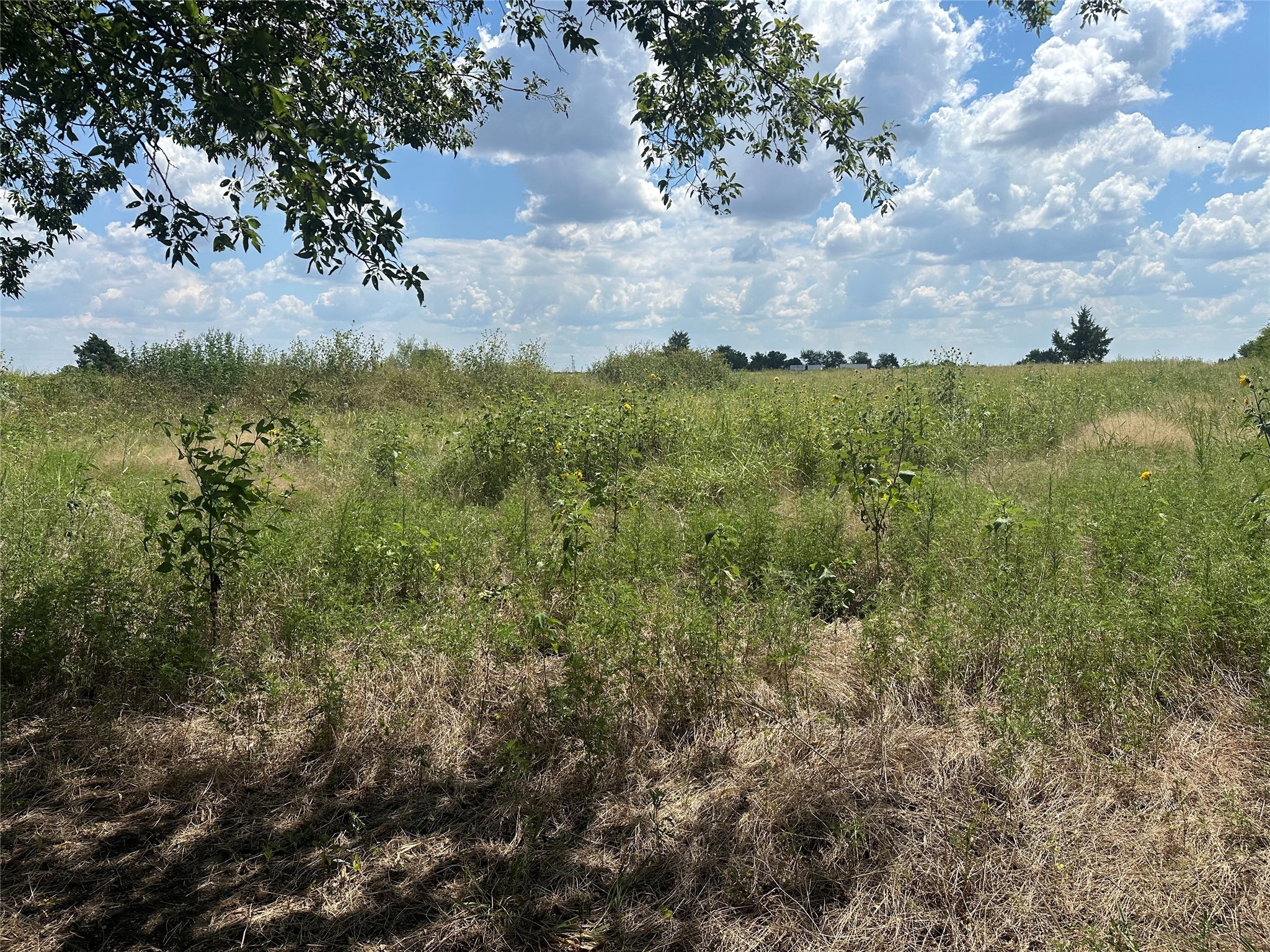 Lot 4 Rutledge Road Whitewright TX 75491