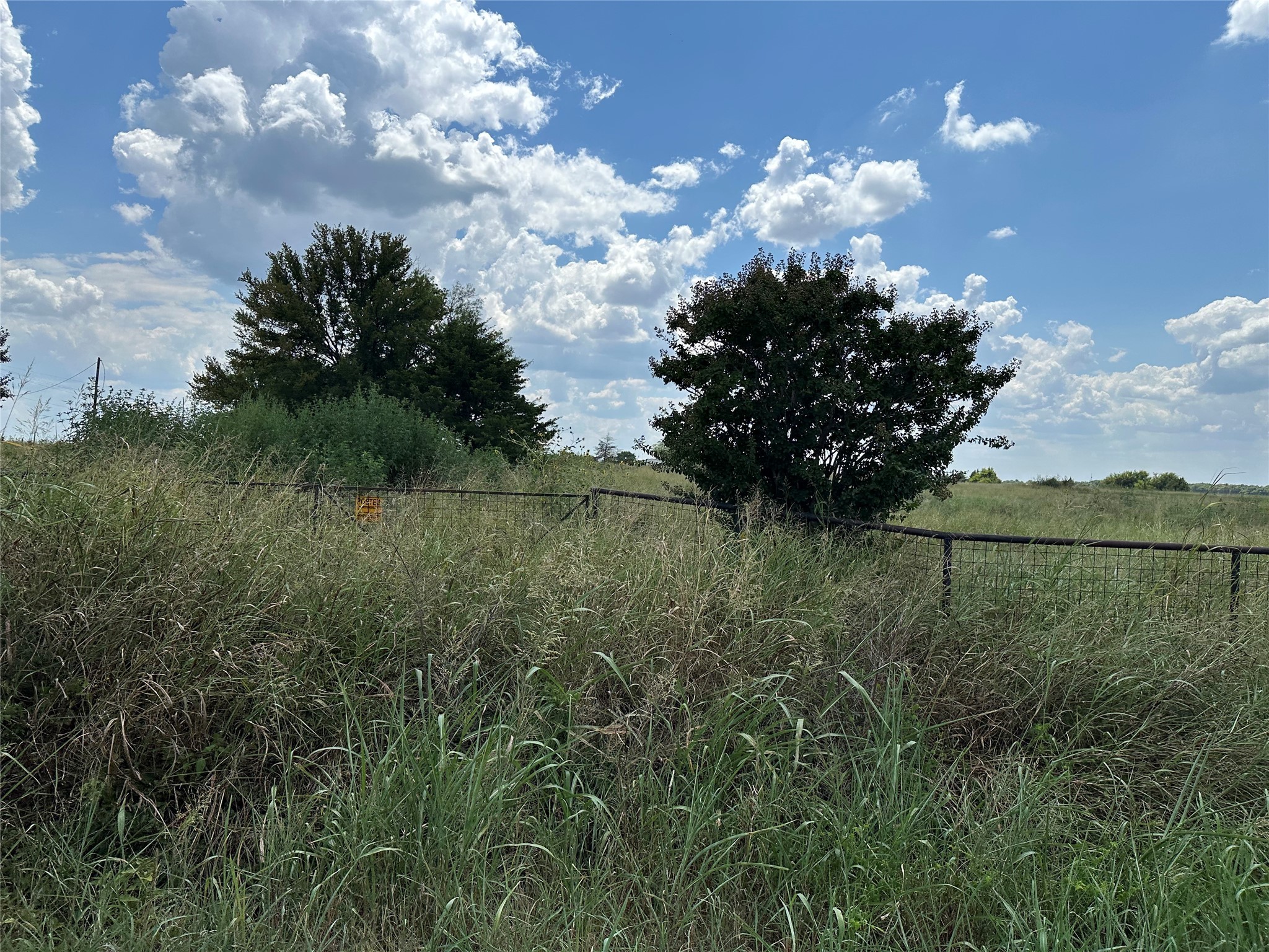 Lot 4 Rutledge Road Whitewright TX 75491