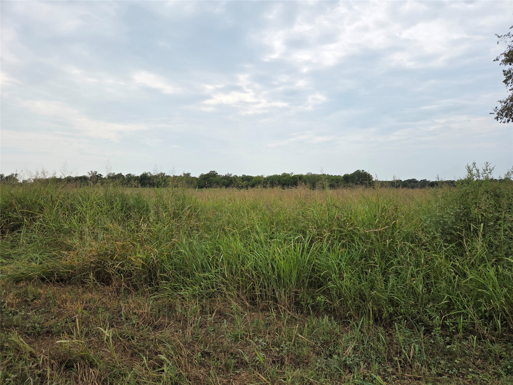 Tbd County Road 3615 Honey Grove TX 75446