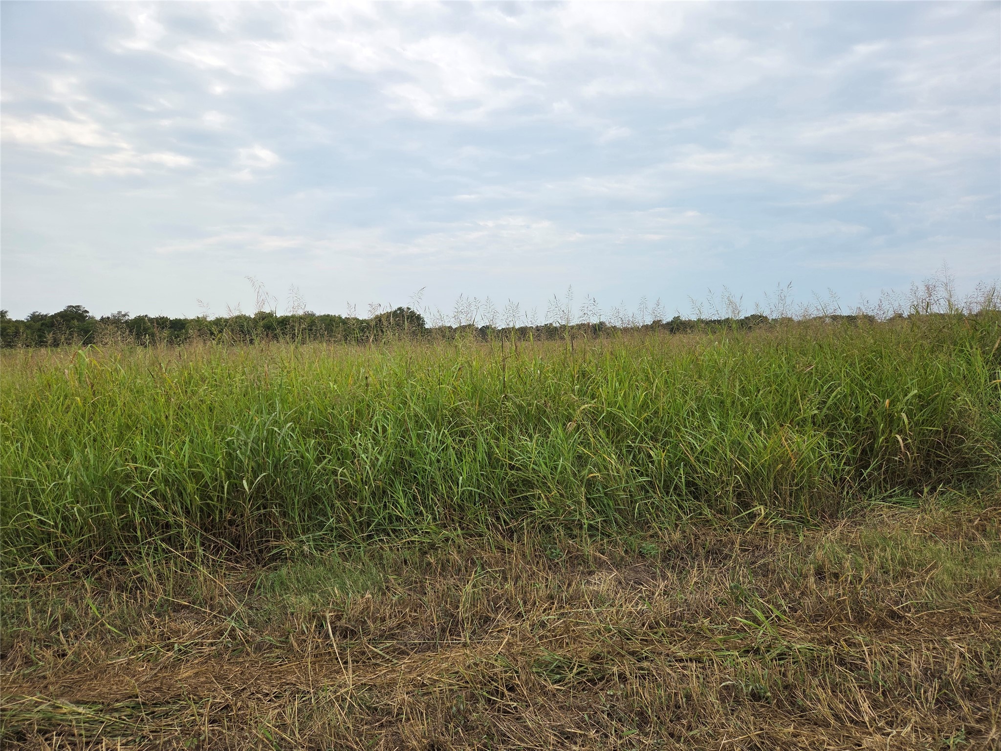 Tbd County Road 3615 Honey Grove TX 75446