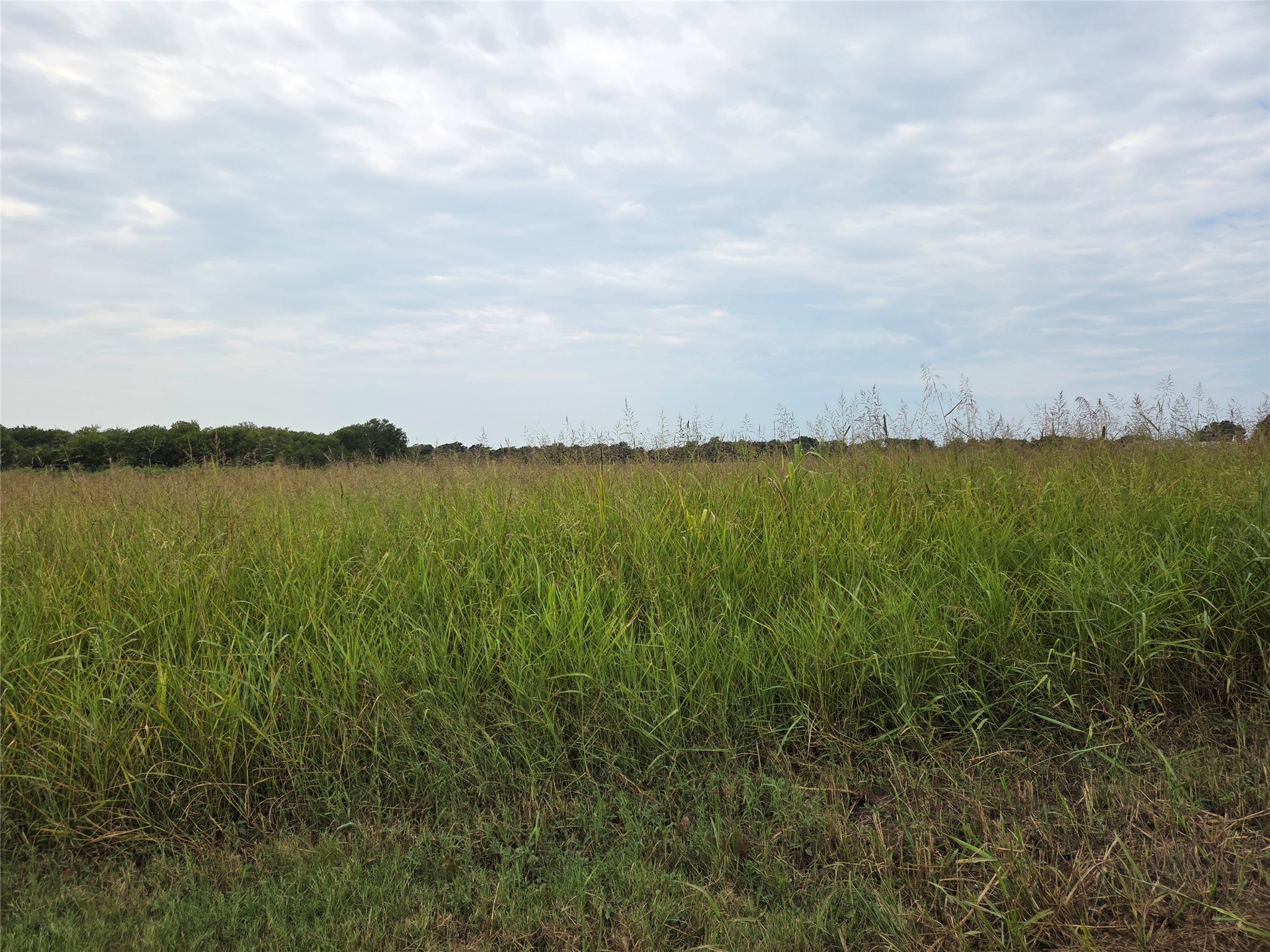 Tbd County Road 3615 Honey Grove TX 75446