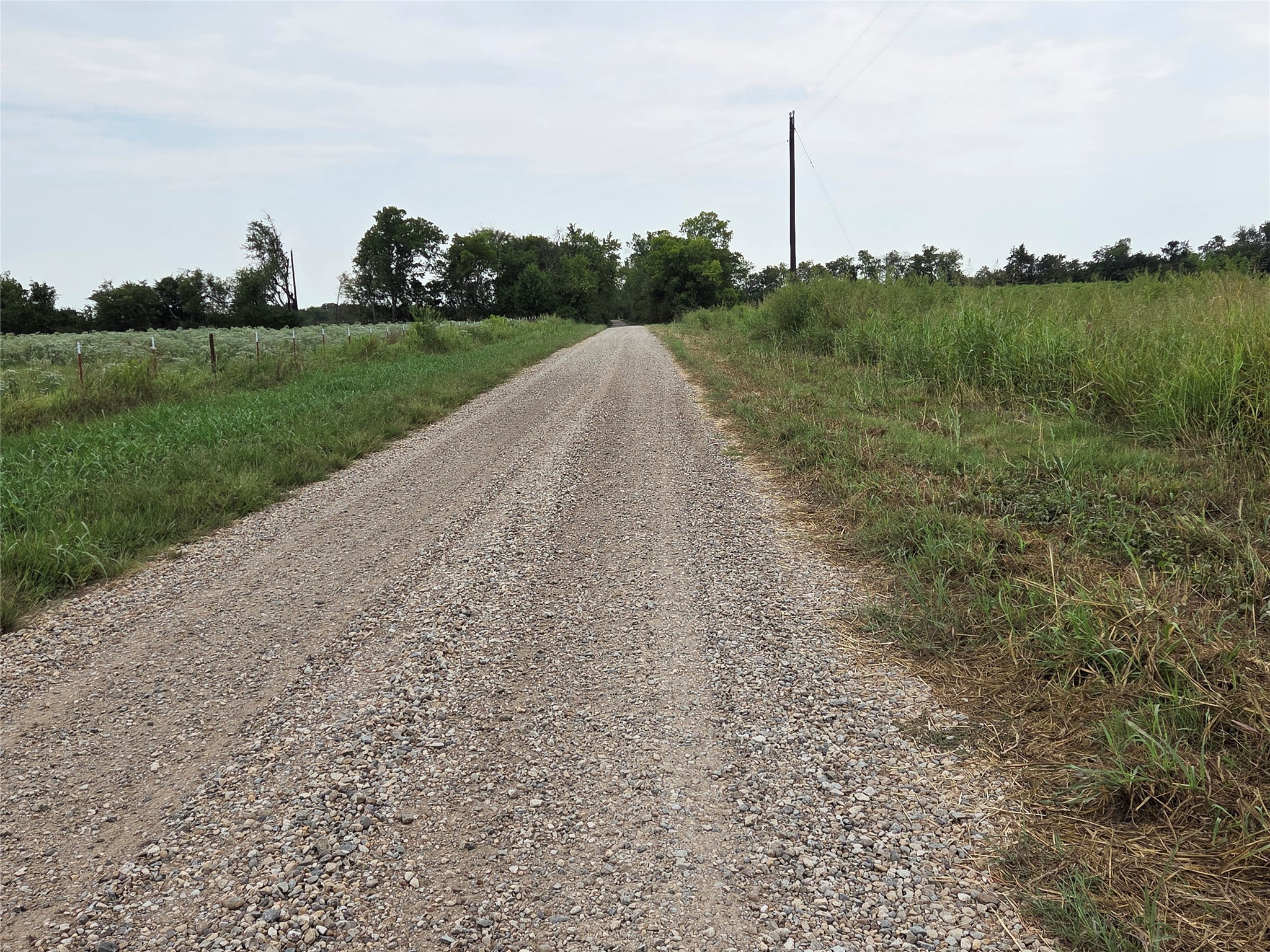 Tbd County Road 3615 Honey Grove TX 75446
