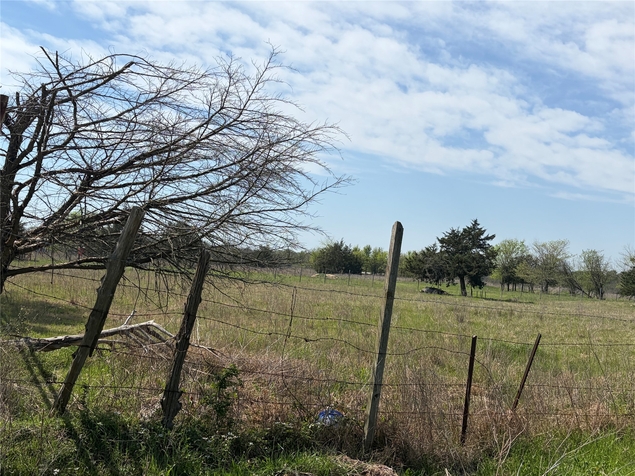 0 Fm Road 429 Terrell TX 75161