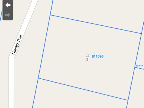 Lot 3 Navajo Trail Hilltop Lakes TX 77871