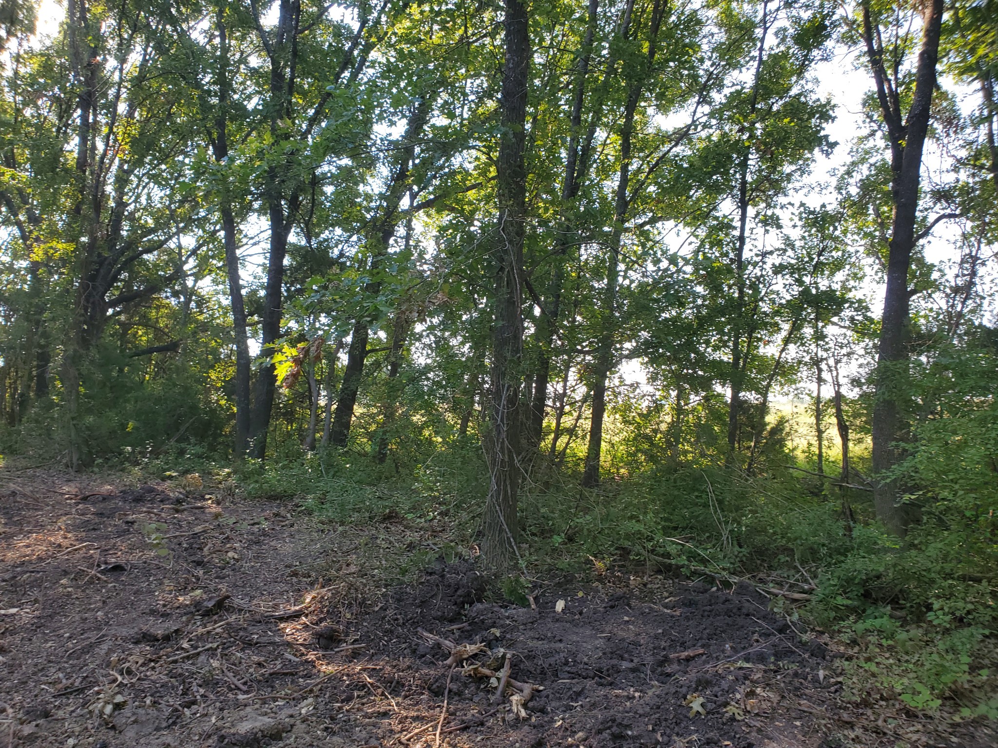 5310 Hidden Court Garland TX 75043