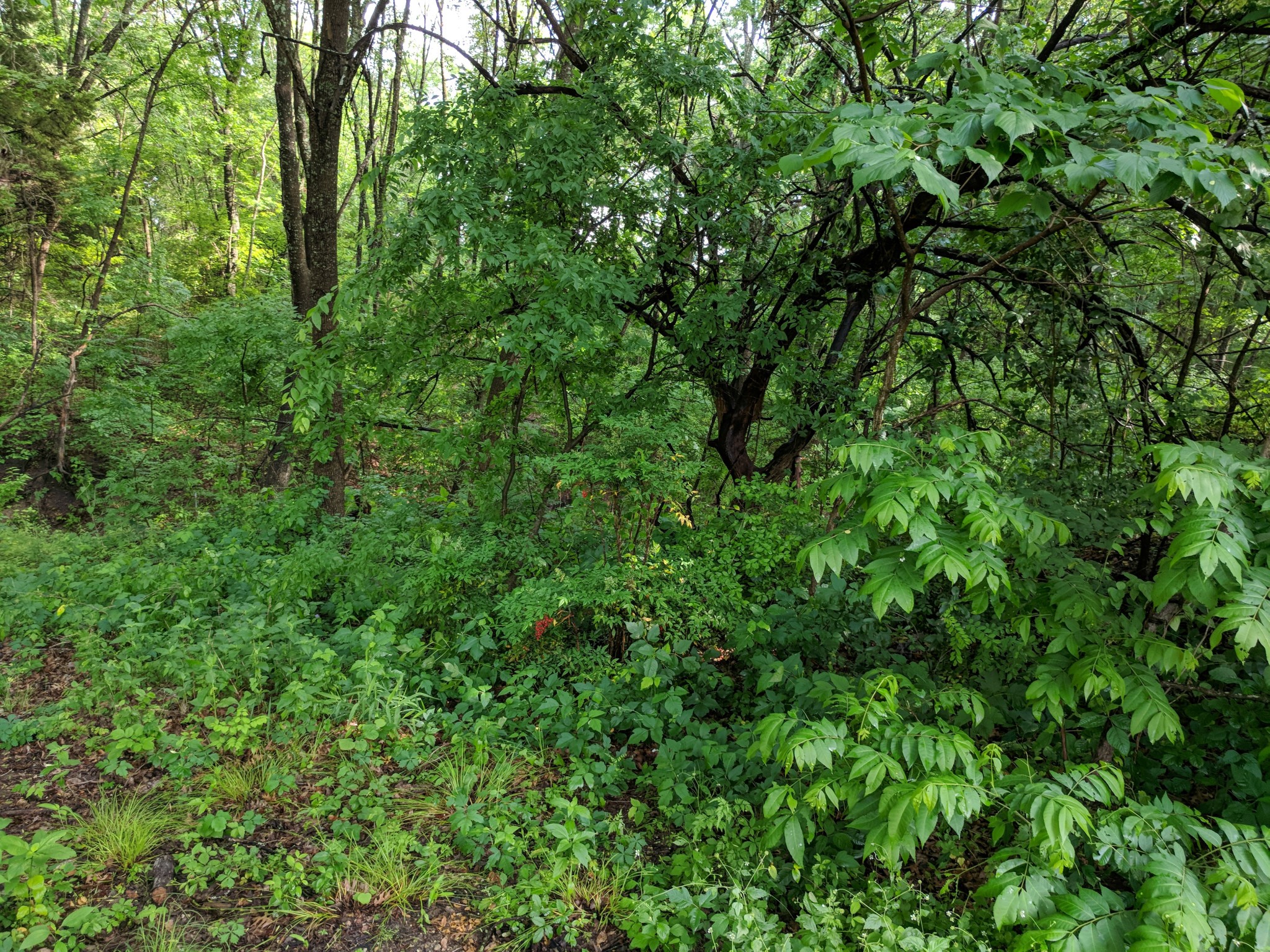 5310 Hidden Court Garland TX 75043