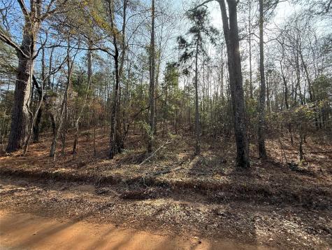 TBD Cr 2733 Marietta TX 75566