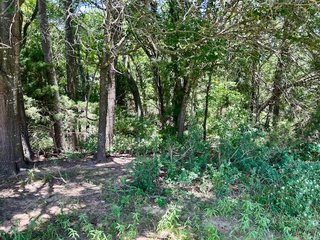 811 Lcr 238 Mexia TX 76667