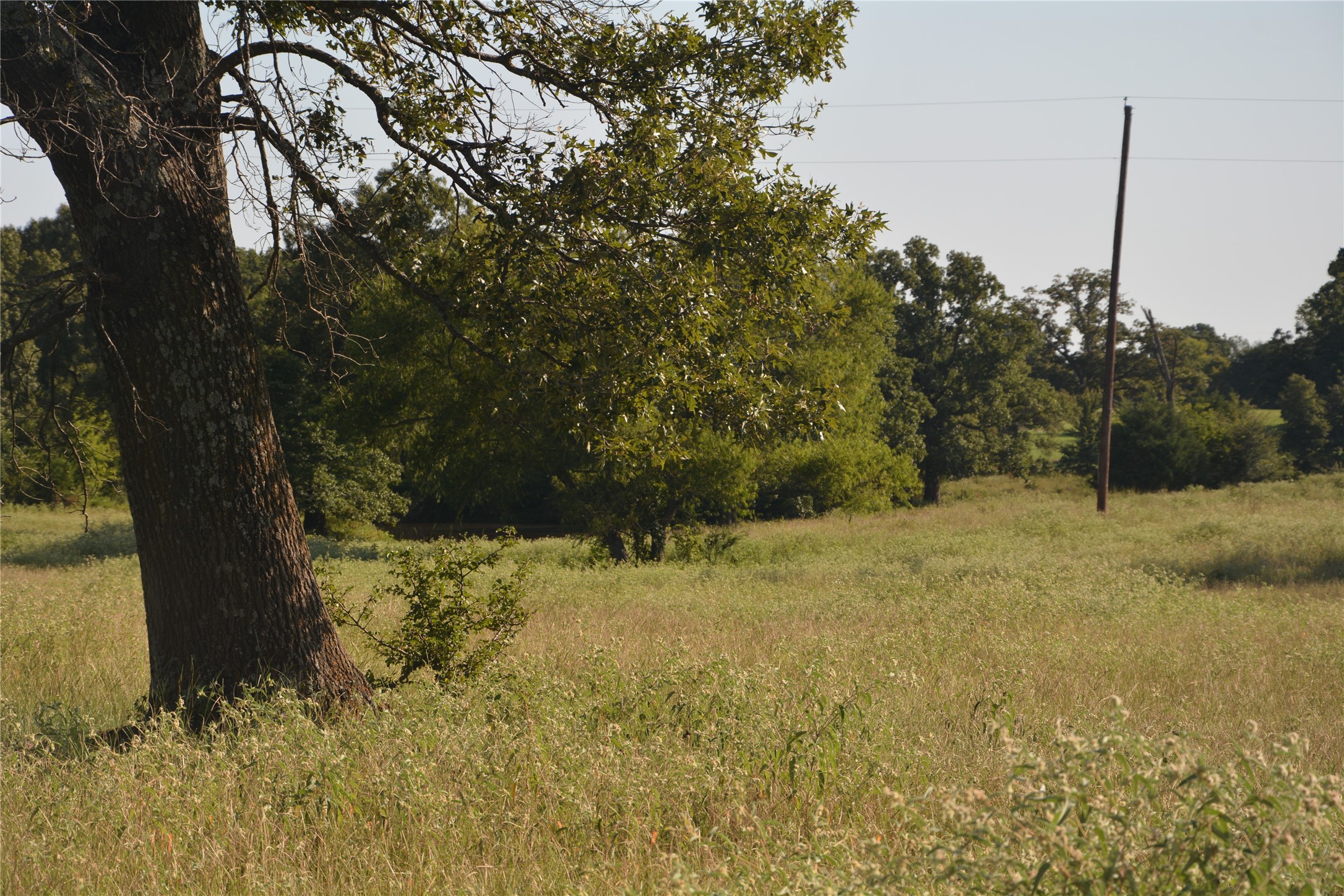 Tbd Vz County Road 1820 Grand Saline TX 75140