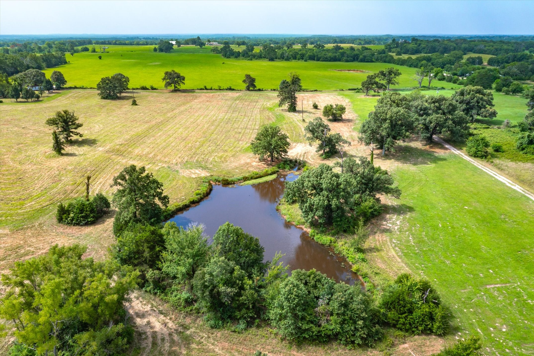 Tbd Vz County Road 1820 Grand Saline TX 75140